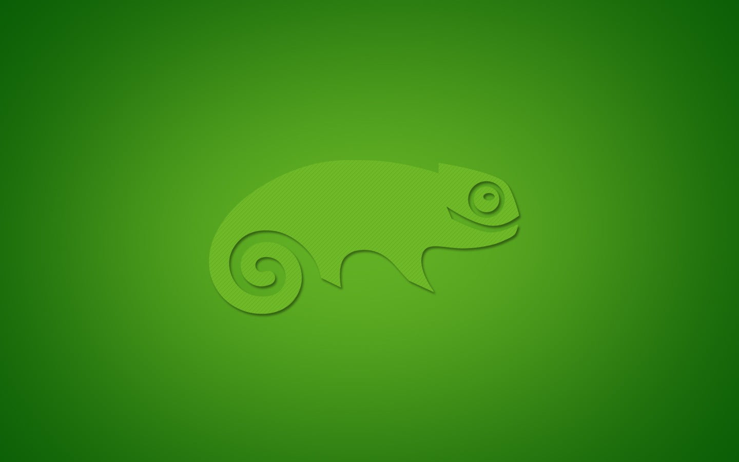 green chameleon illustration, operating system, Linux, computer