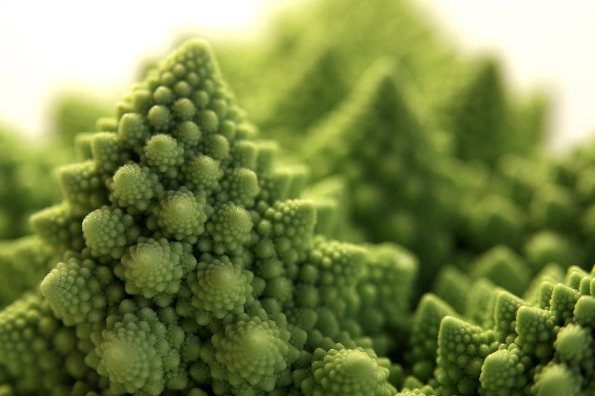 close-up photo of Broccoli, Natural, Geometry, nature, macro