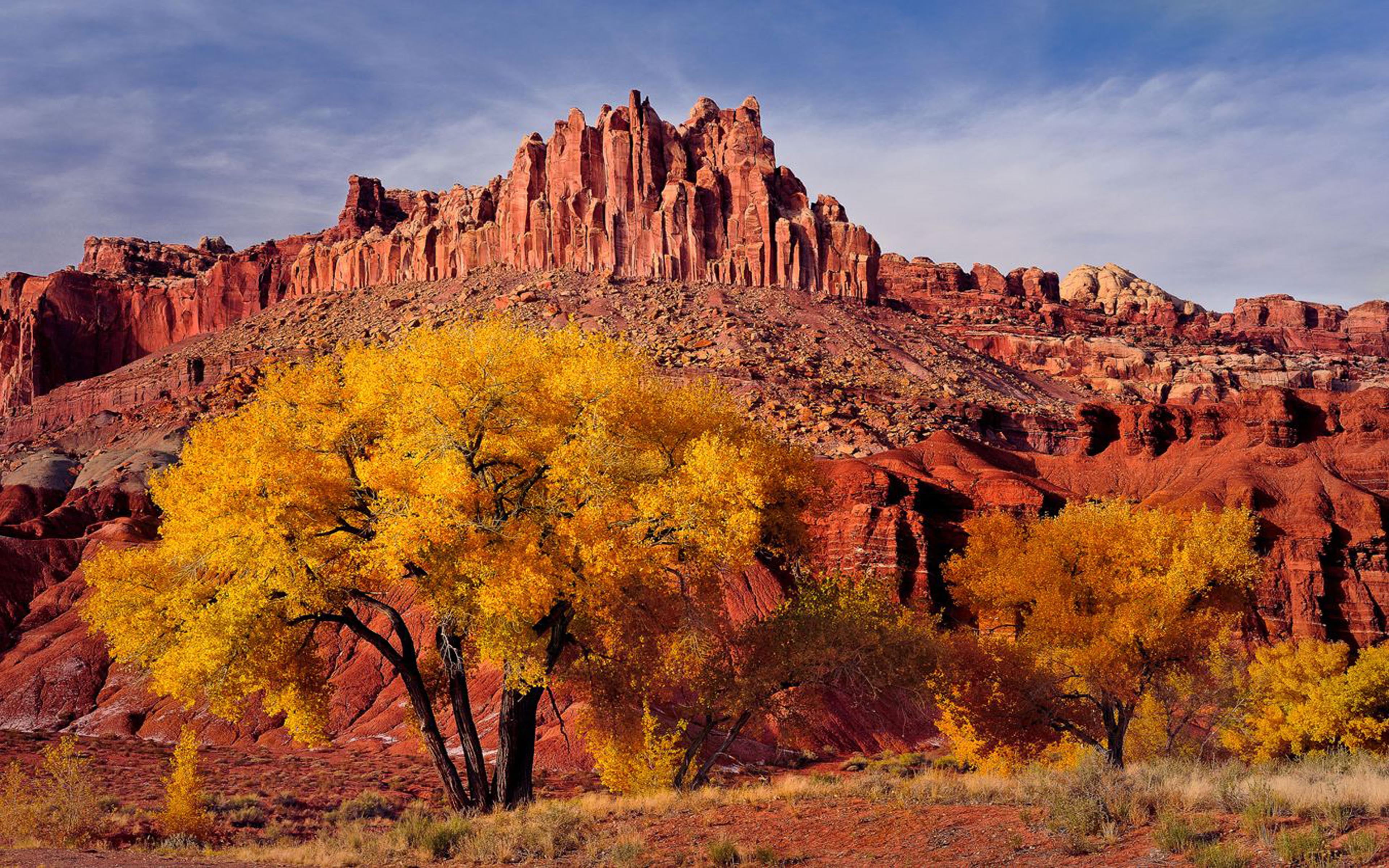 Free Download Hd Wallpaper Autumn Landscape National Park In Utah
