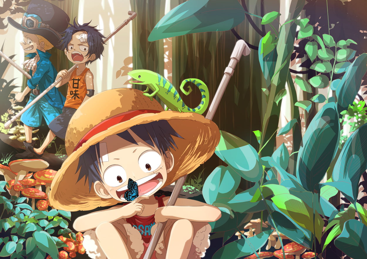 One Piece Luffy, Ace, and Sabbo wallpaper, Monkey D. Luffy, Sabo