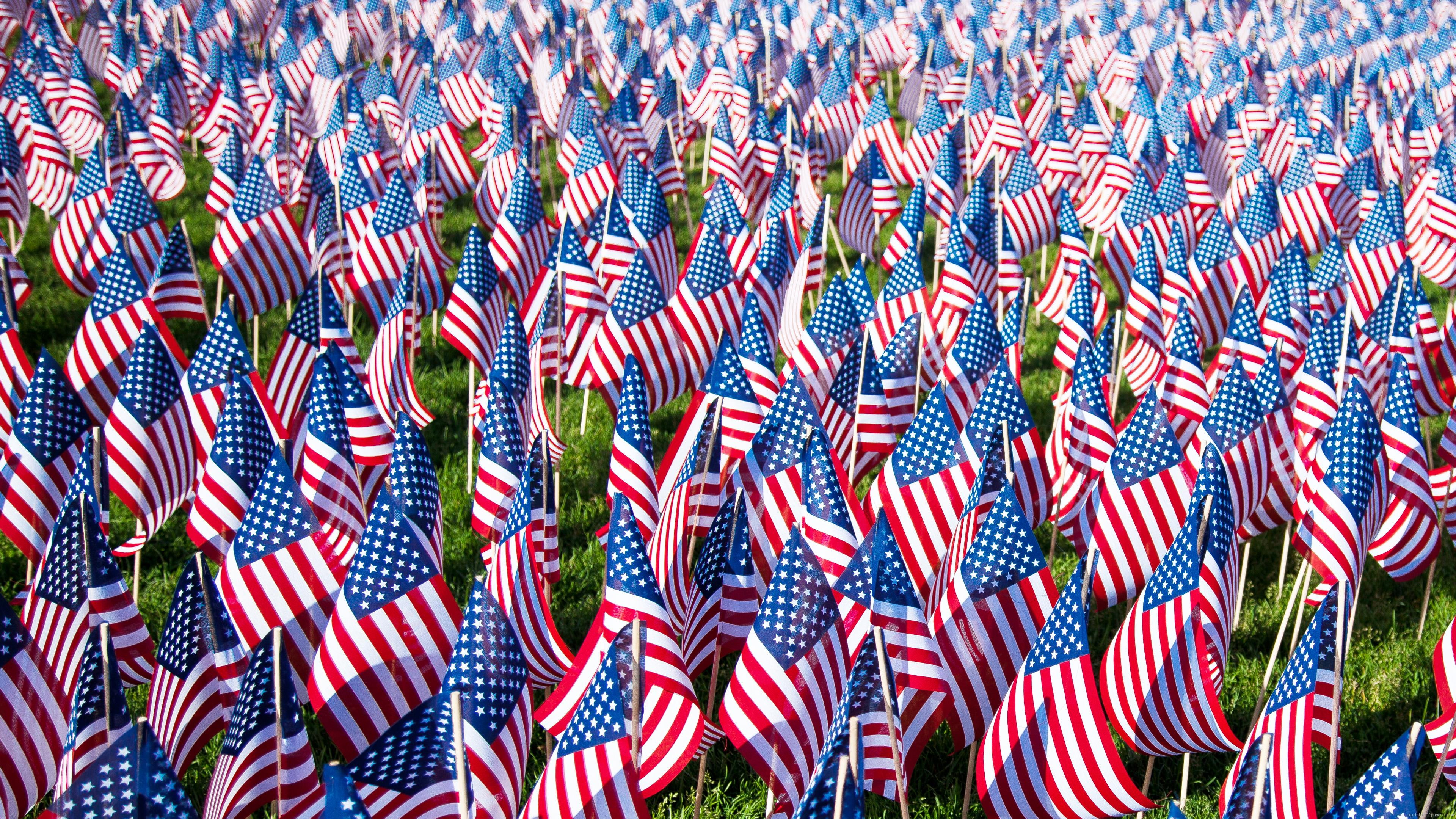 American flags, u.s.a. flaglet lot, holidays, memorial day
