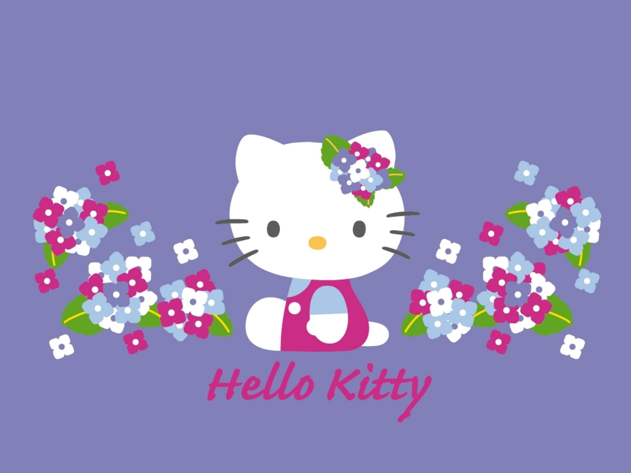 hello kitty amazing pictures, studio shot, no people, multi colored