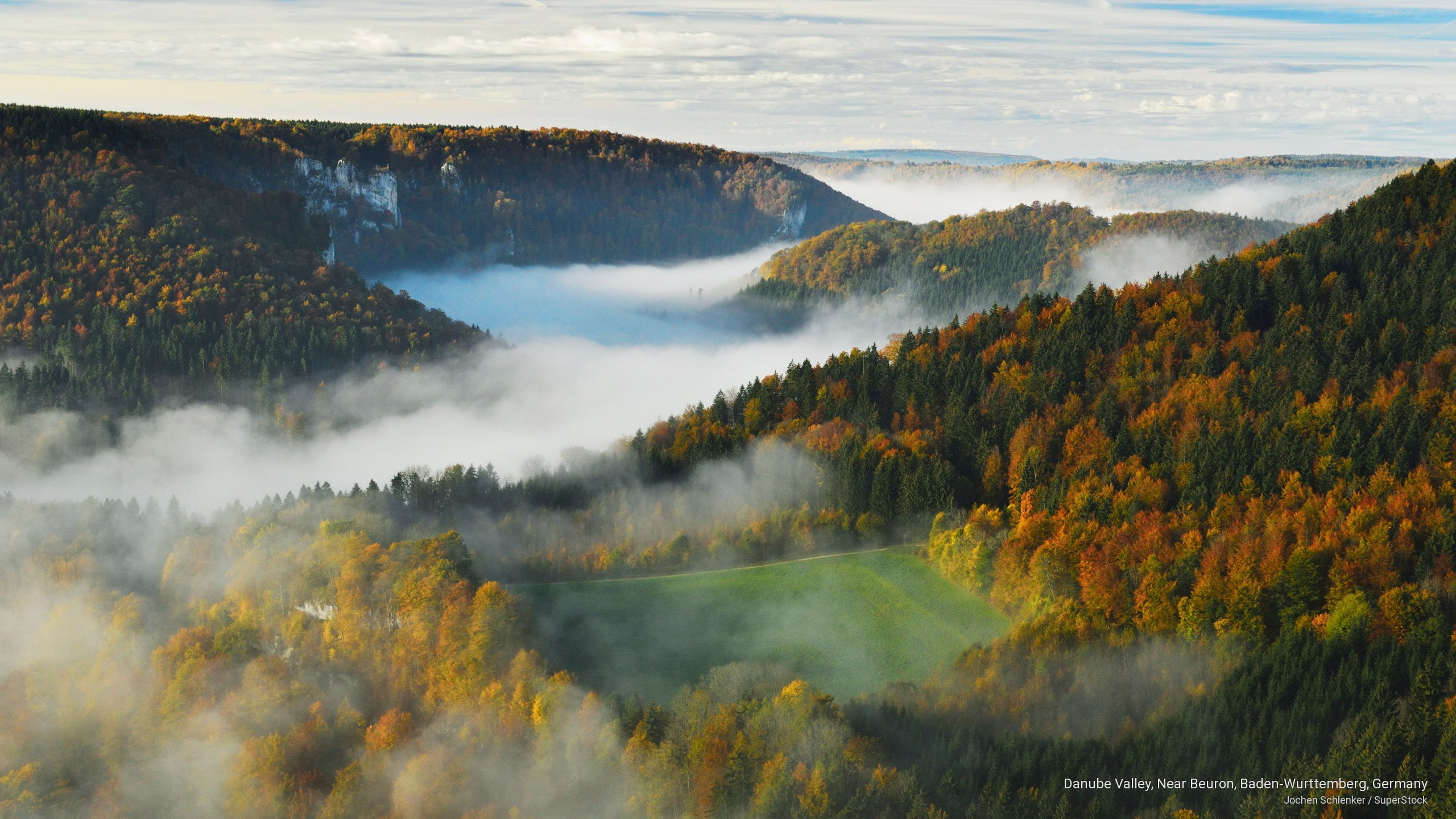 Danube Valley, Near Beuron, Baden-Wurttemberg, Germany, Nature