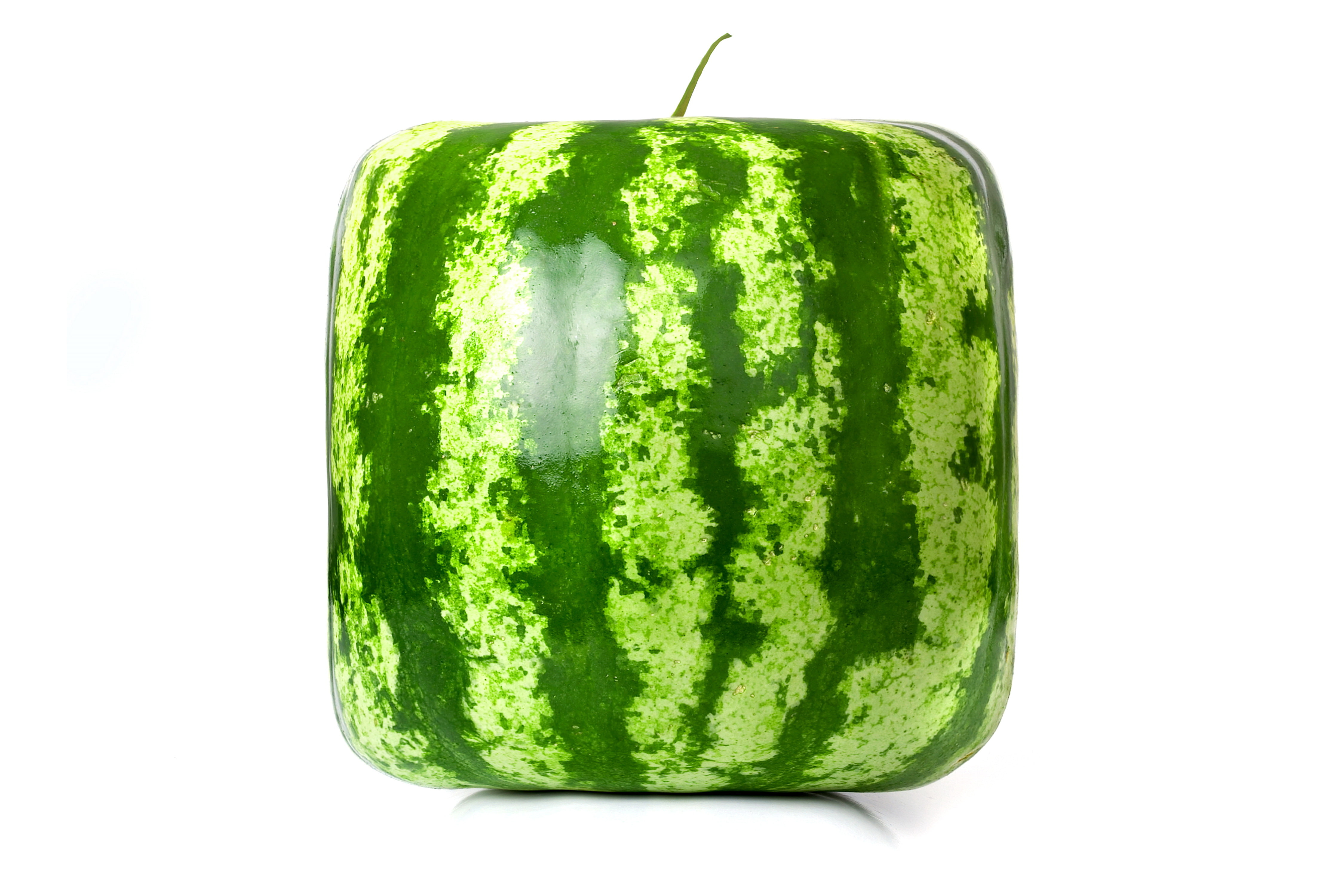 rendering, square, watermelon, cube, square watermelon