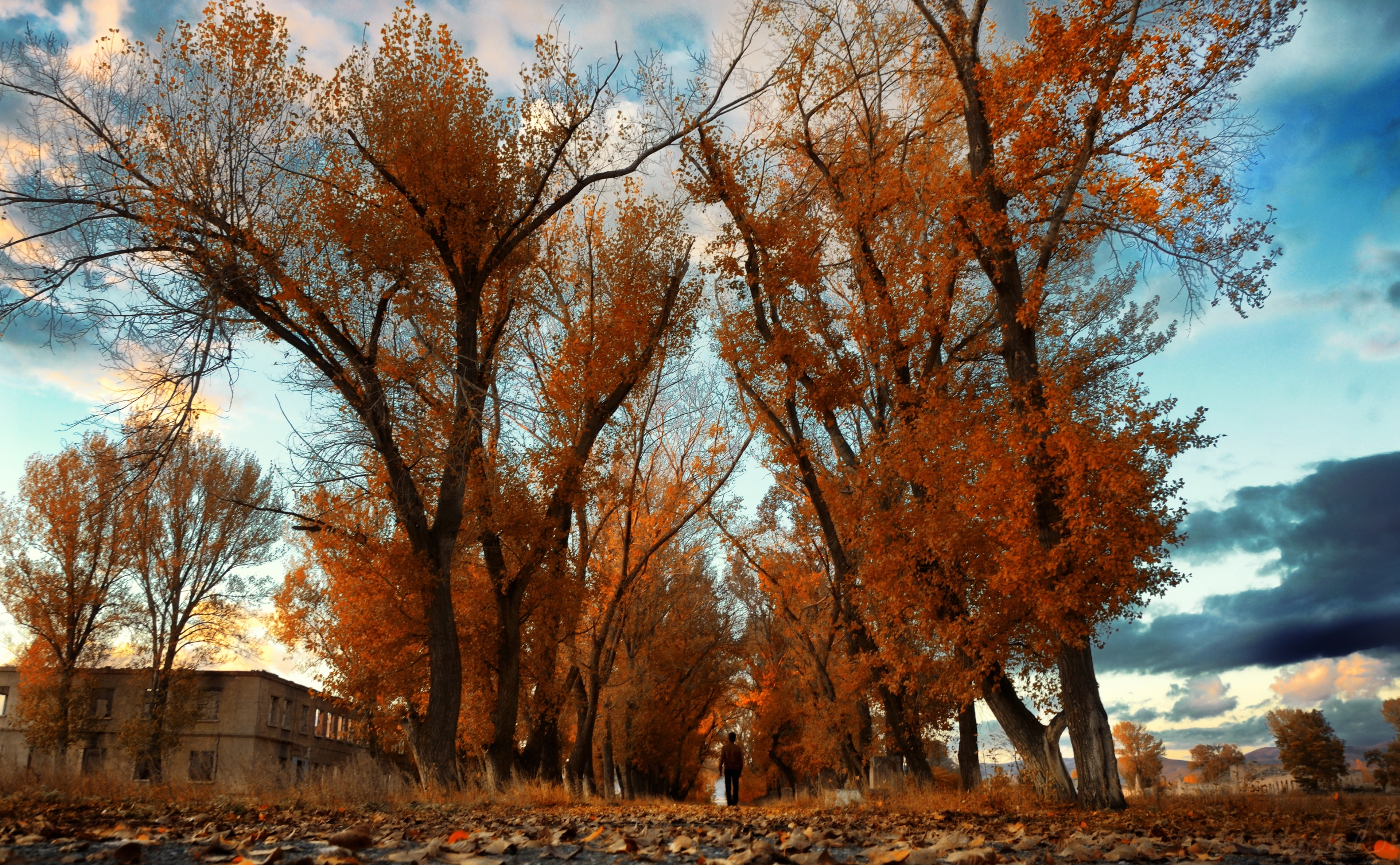 Armenia, Gyumri, red leafed trees, Seasons, Autumn, Nature, Beautiful