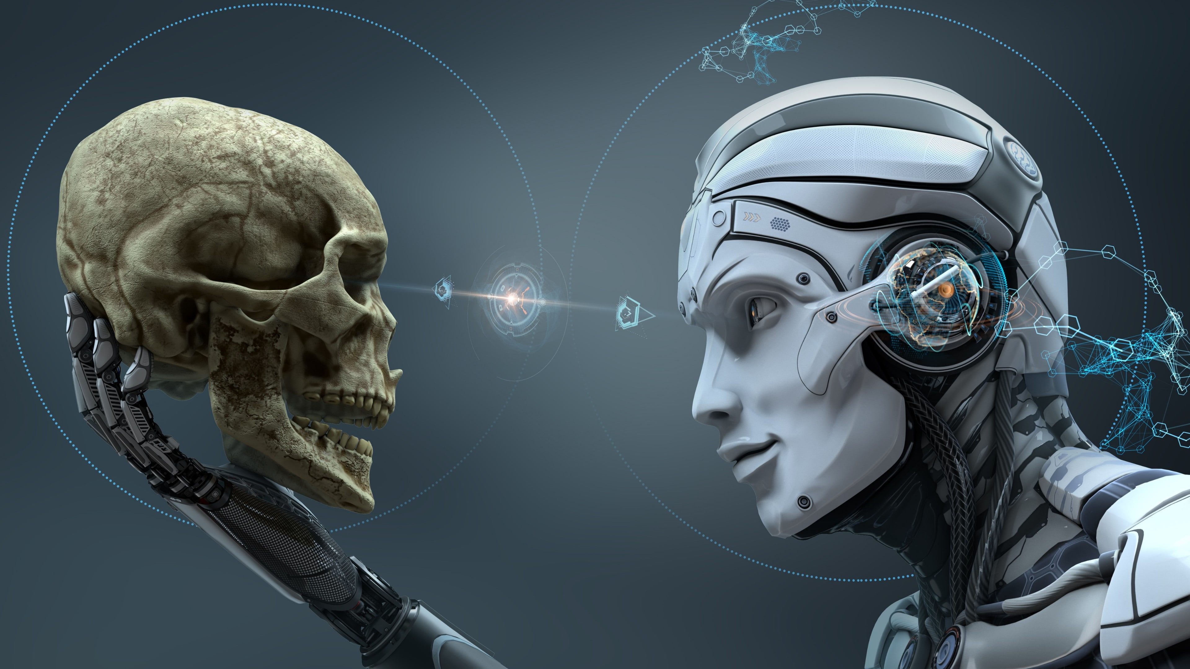 skeleton, head, technology, bone, digital art, human, artwork