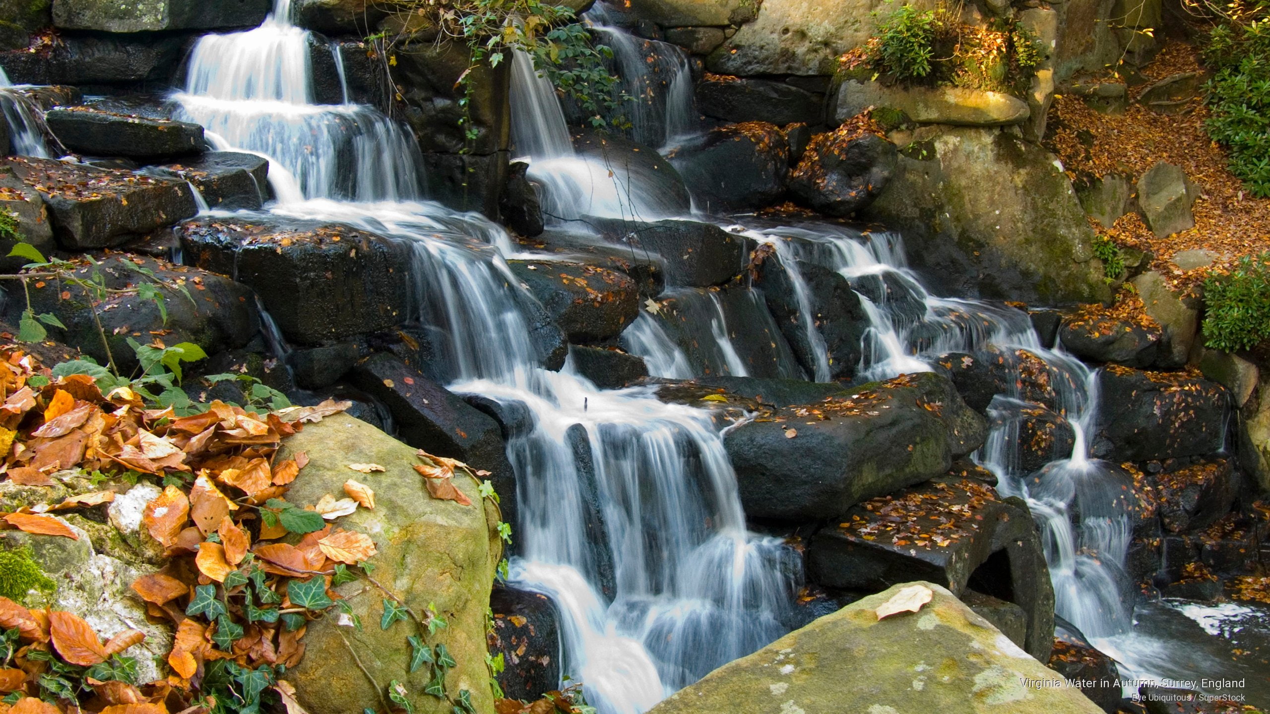 Virginia Water in Autumn, Surrey, England, Fall