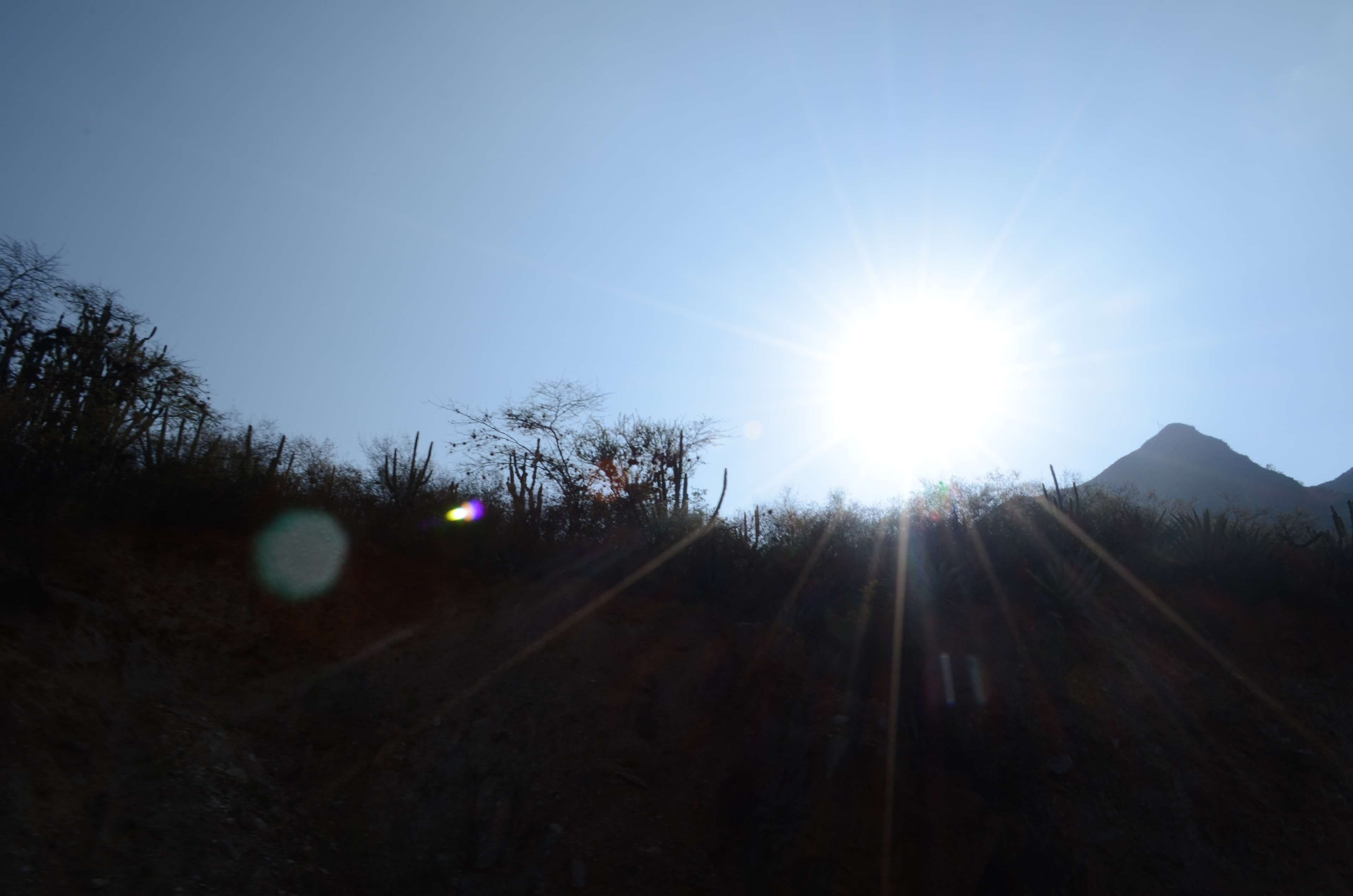 mountains, sunset, sky, lens flare, sunbeam, sunlight, tree