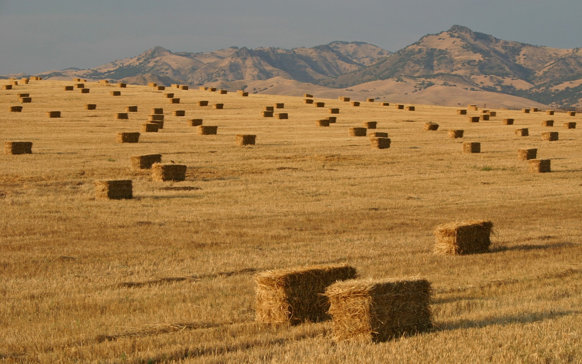 haystack