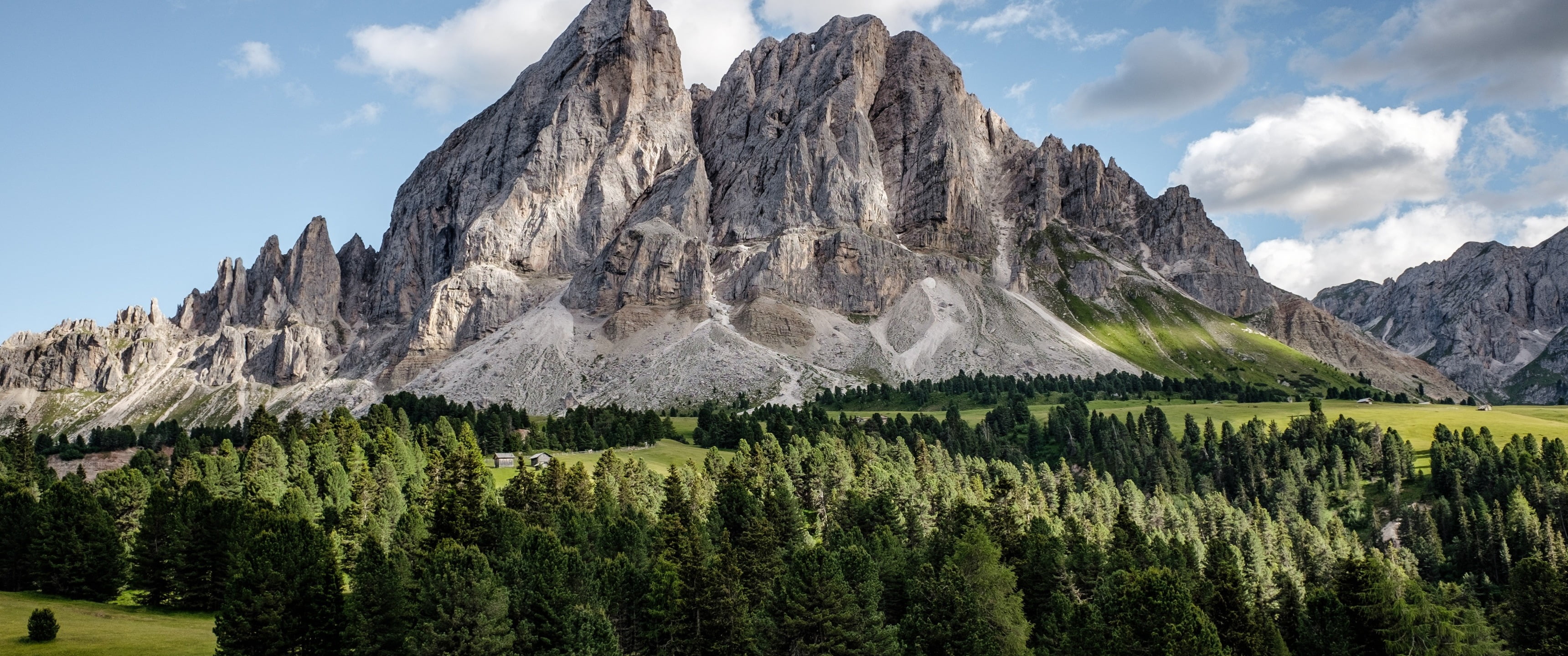 landscape photo of gray mountain, ultrawide, mountains, forest