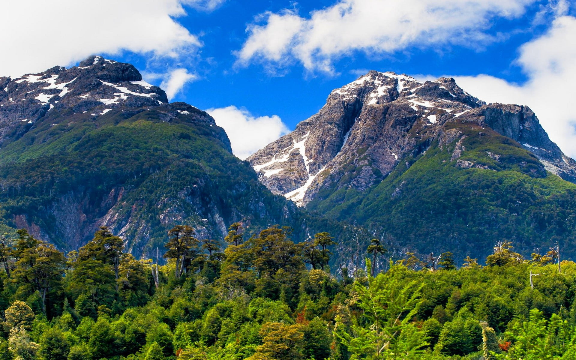 green trees and mountain, landscape, nature, Chile, summer, mountains