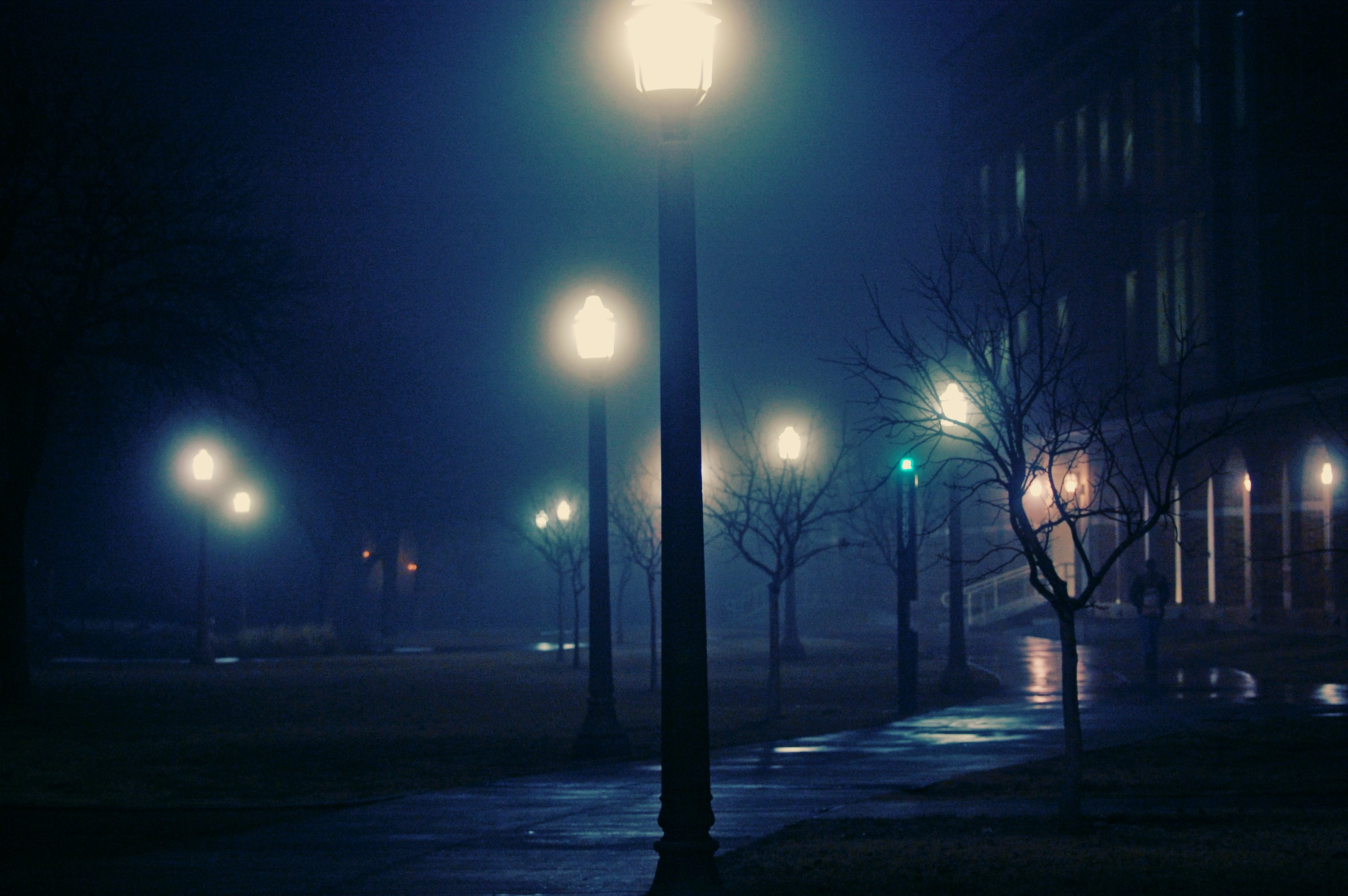 Free download | HD wallpaper: black street light posts, night, the city ...