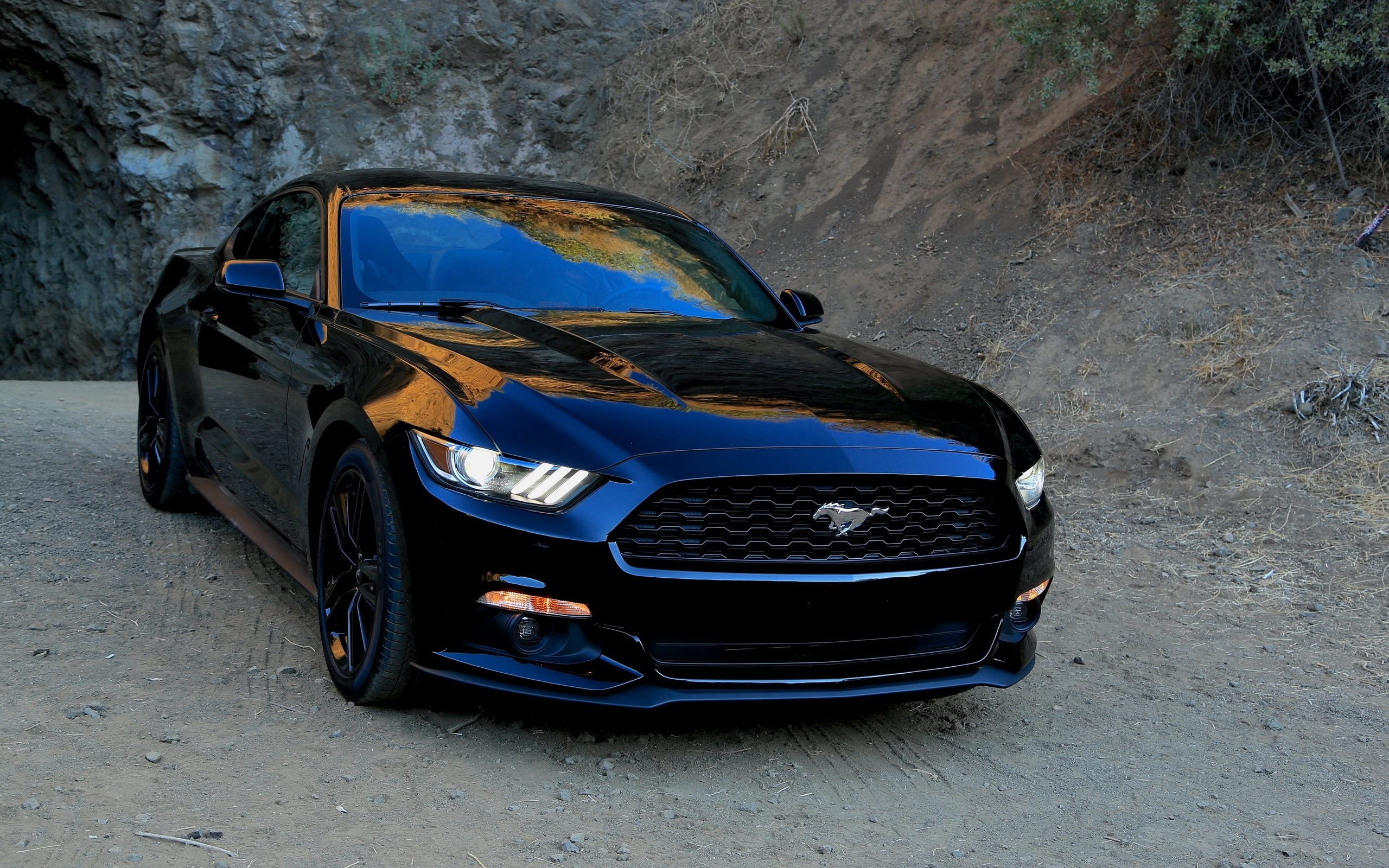 black Ford Mustang coupe, sports, car, land Vehicle, transportation