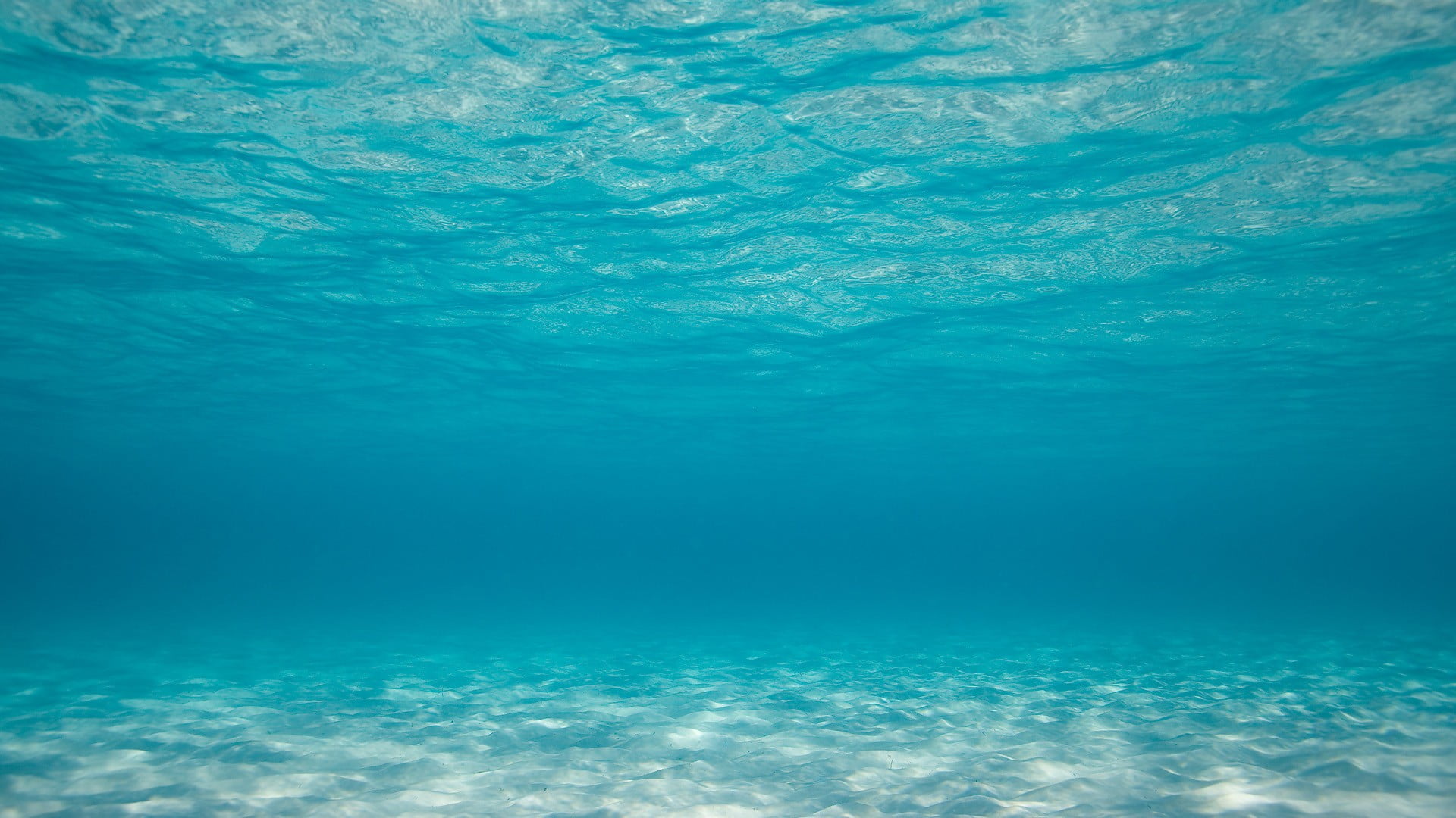 rippling body of water, photography, sea, underwater, blue, turquoise colored