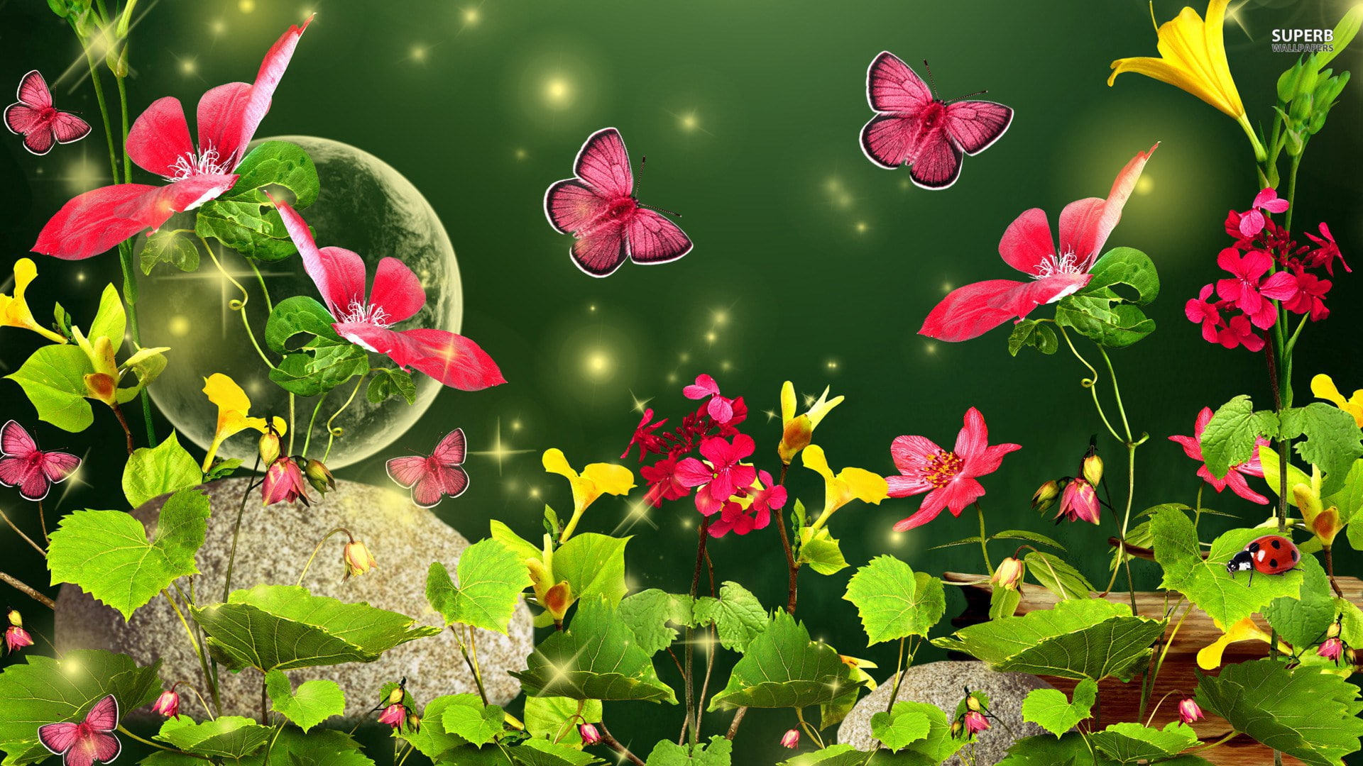 spring desktop background pictures, flower, leaf, plant, plant part