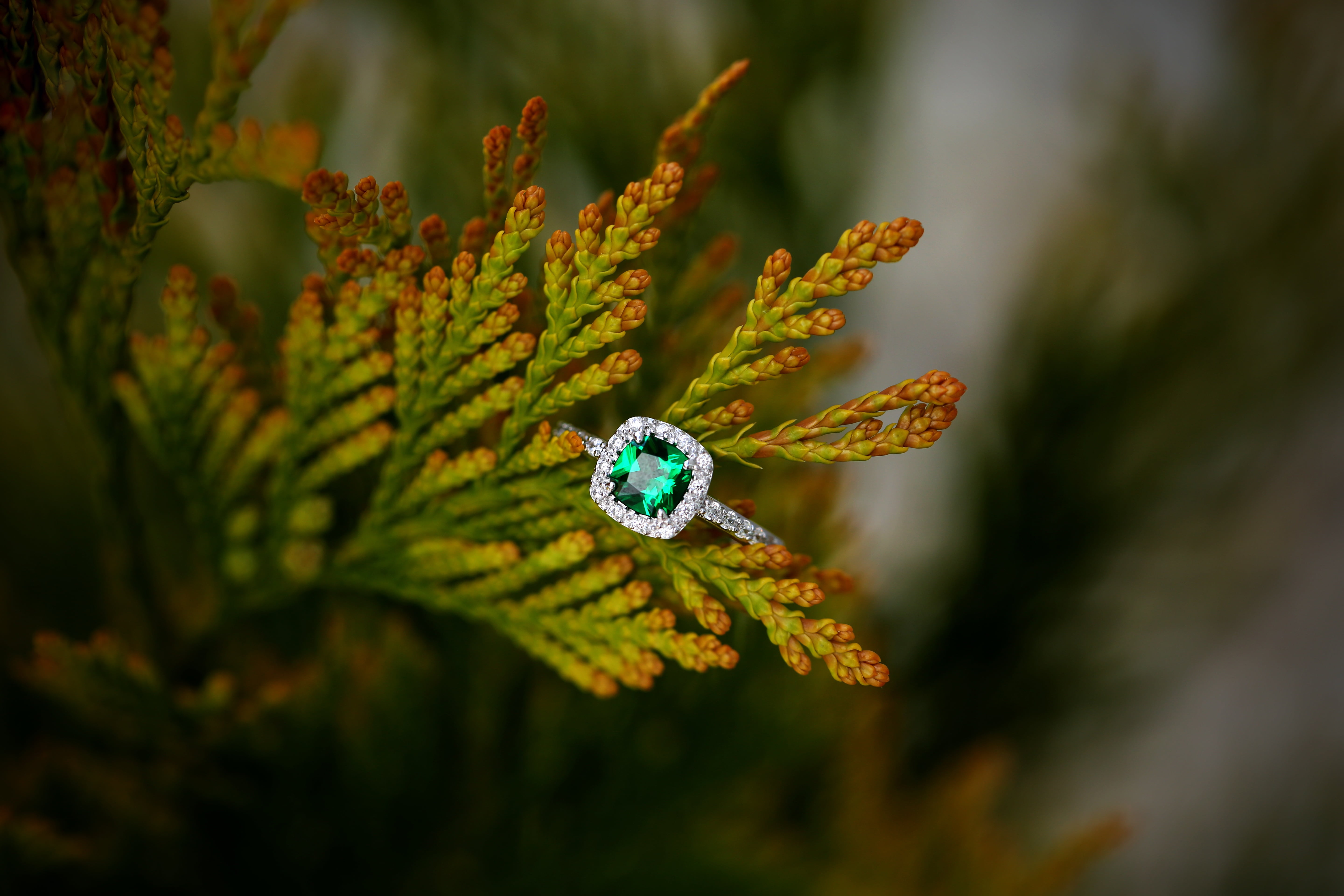 silver-colored ring with green gemstone, plant, nature, close-up