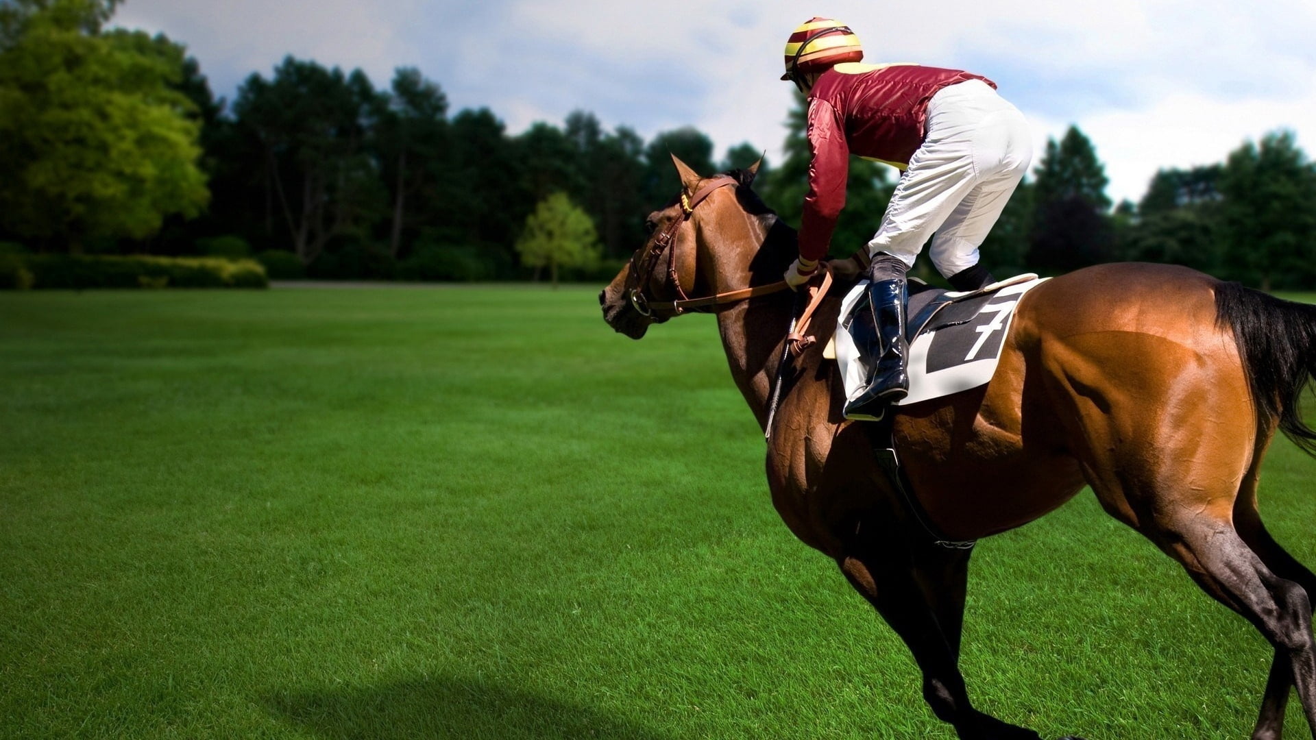 person riding on horse, sports, equestrian, rider, animal, outdoors