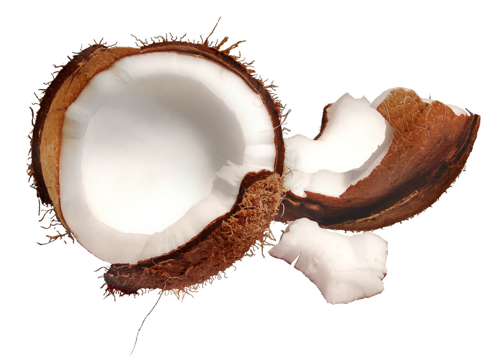 coconut clip art, shell, pulp, nature, white, isolated, close-up