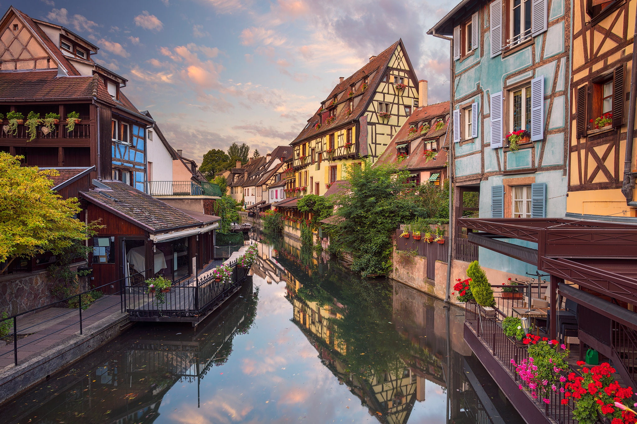 flowers, reflection, France, home, channel, Colmar