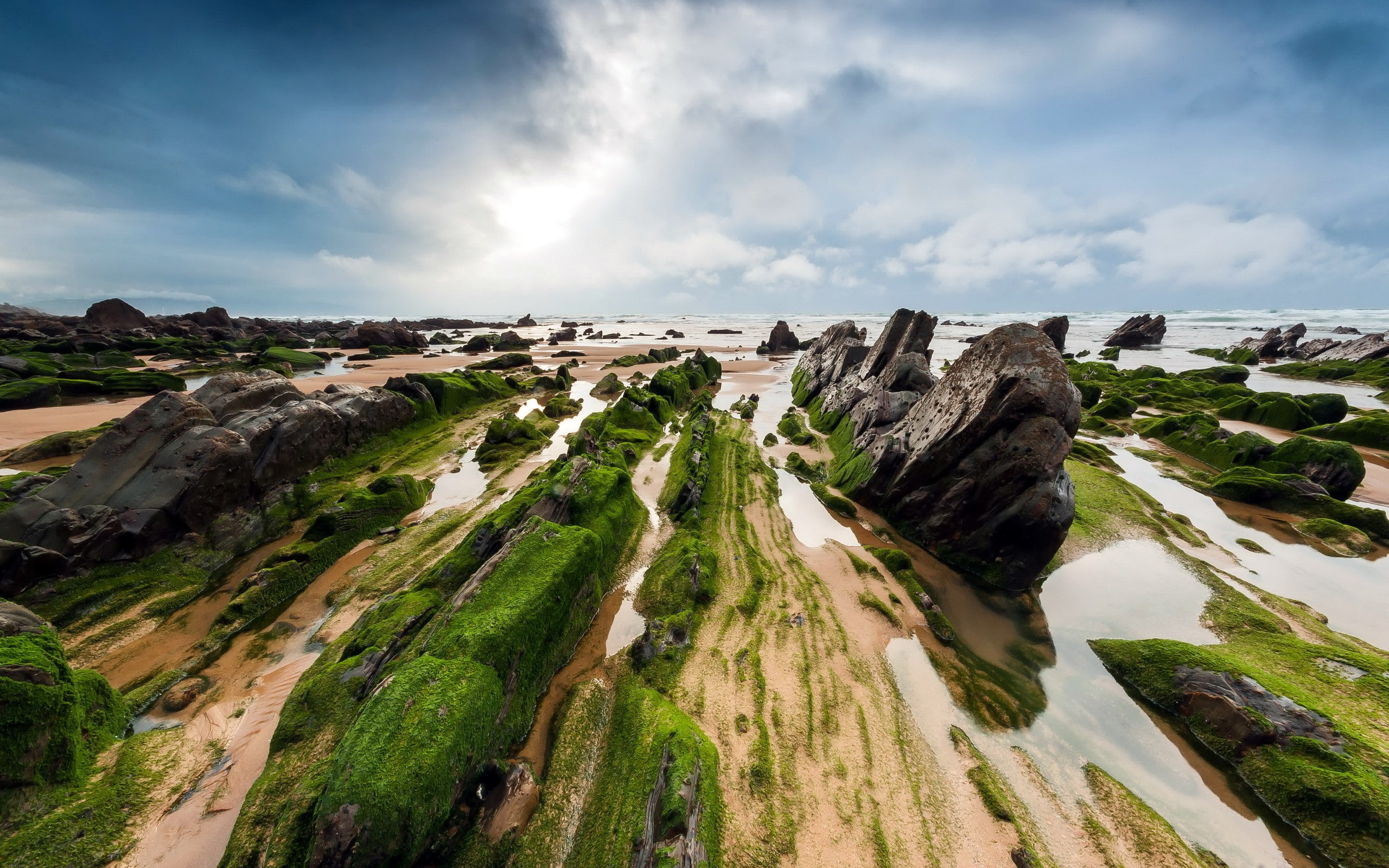 Nature, Landscape, Rock, Seaweed, Sea, Water, green rock islands surrounded with body of water