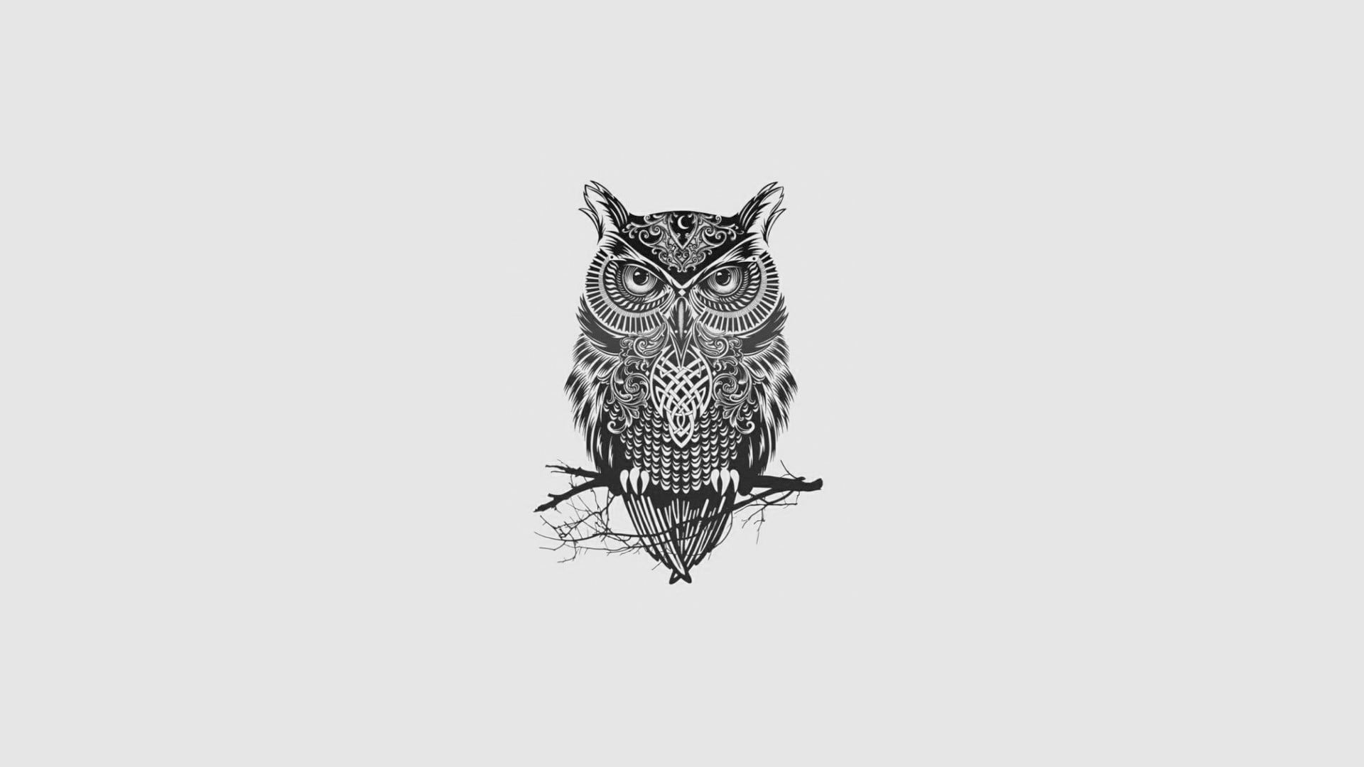 owl illustration, minimalism, tattoo, monochrome, animal themes