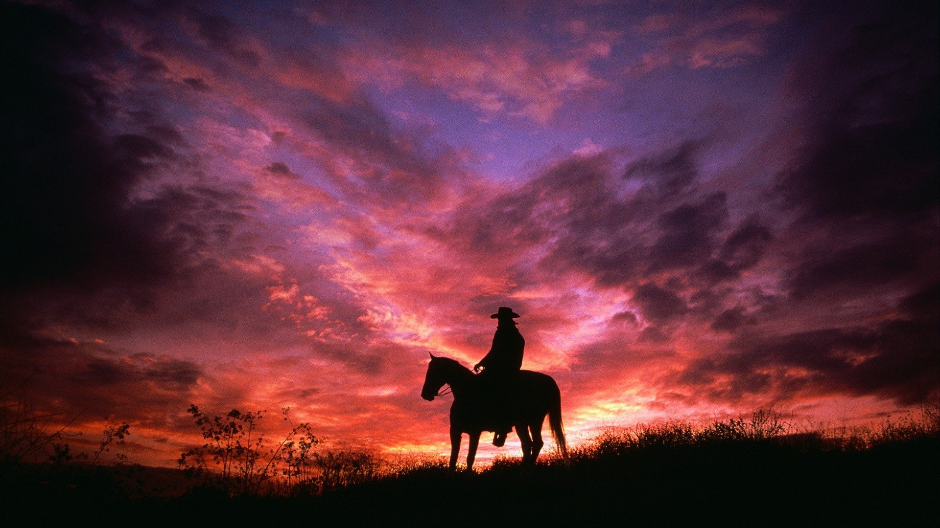 Photography, Cowboy, Horse, Pink, Purple, Silhouette, Sky, Sunset