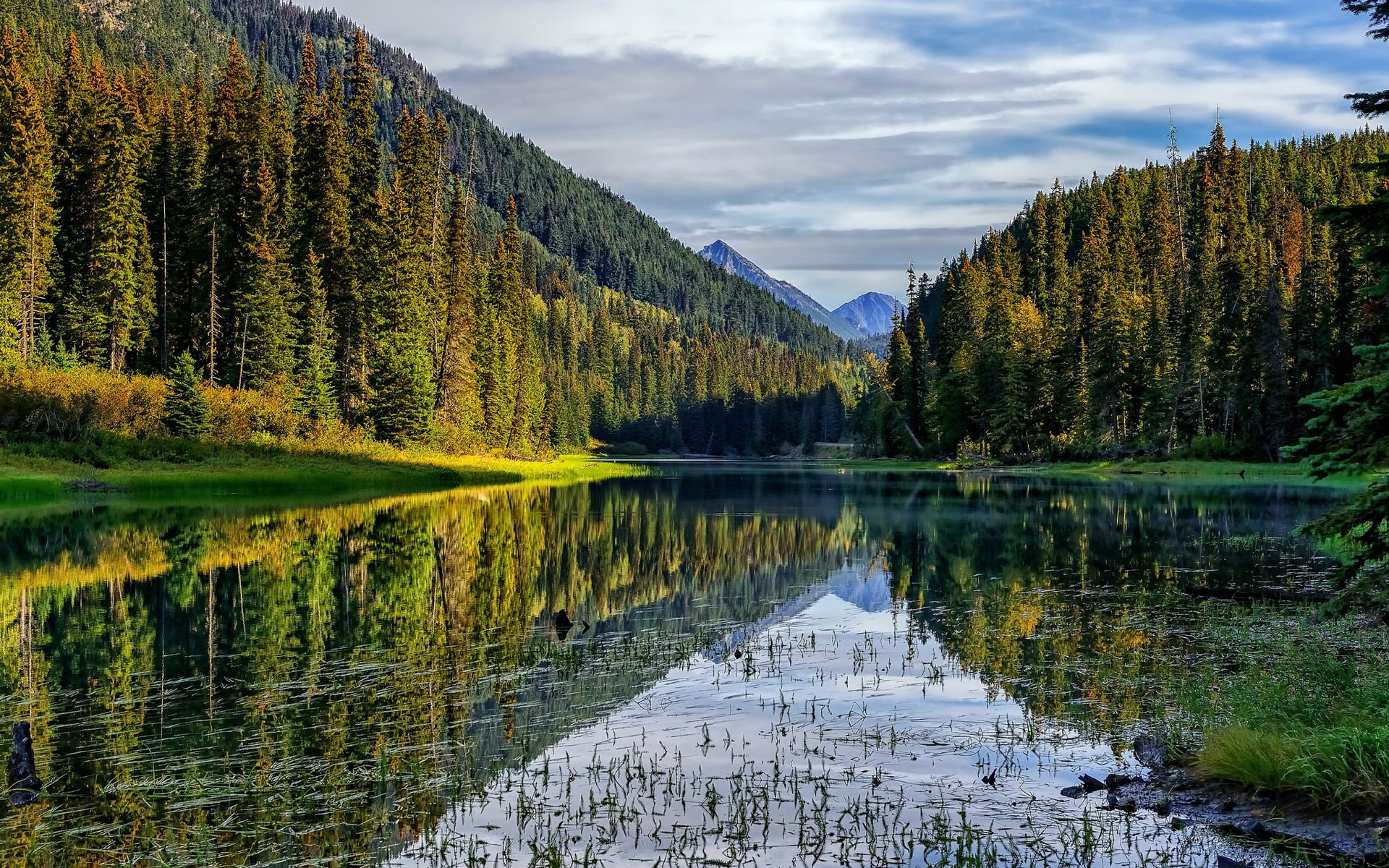 Mountains, forest, lake, reflection