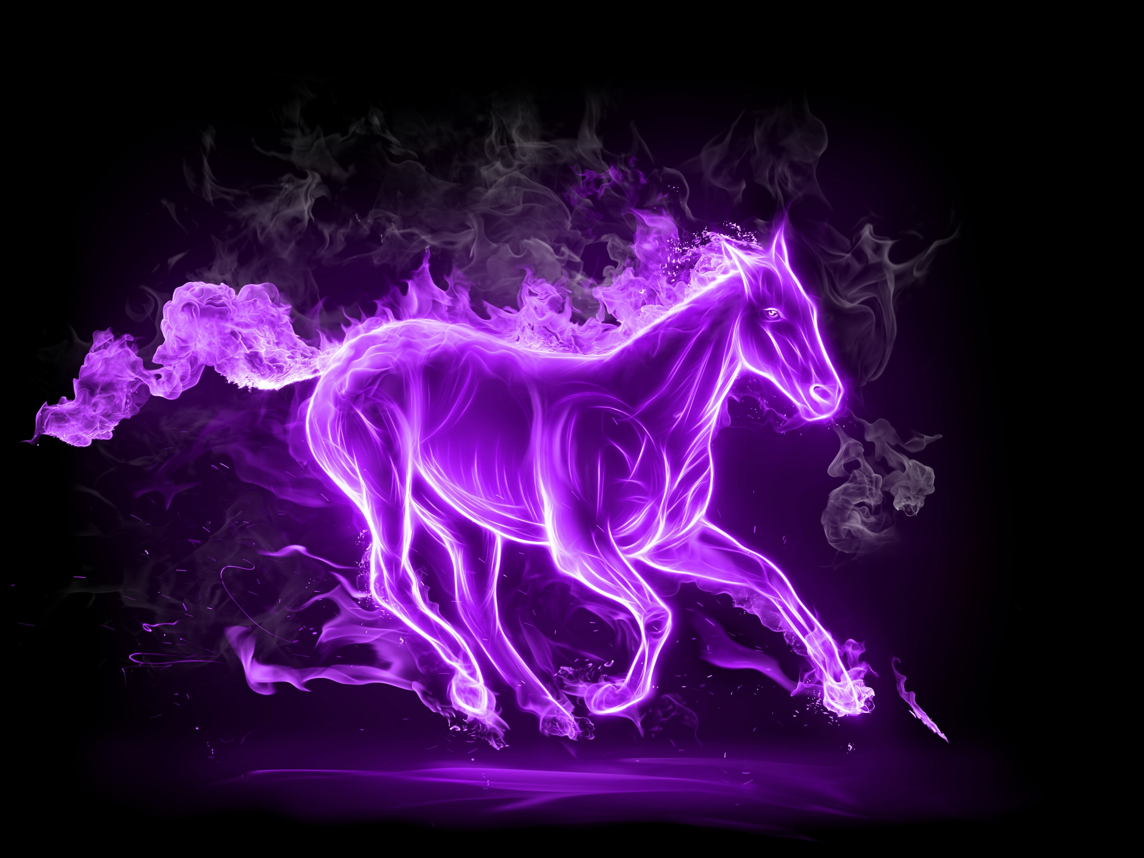 abstract violet horses artwork 4000x3000  Animals Horses HD Art