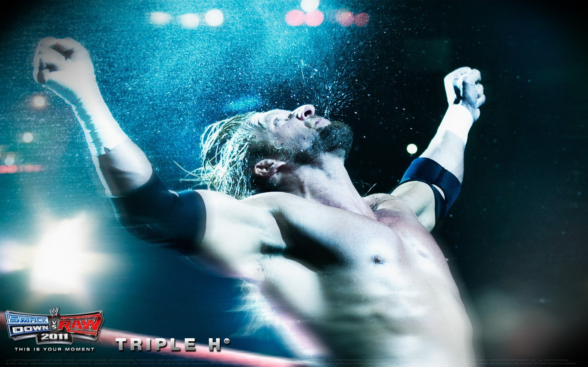 Triple H, wwe