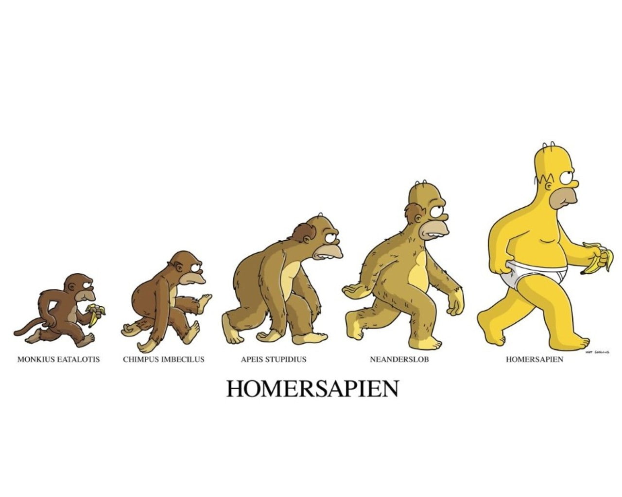 Homer The Simpsons Homersapien White Evolution HD, cartoon/comic