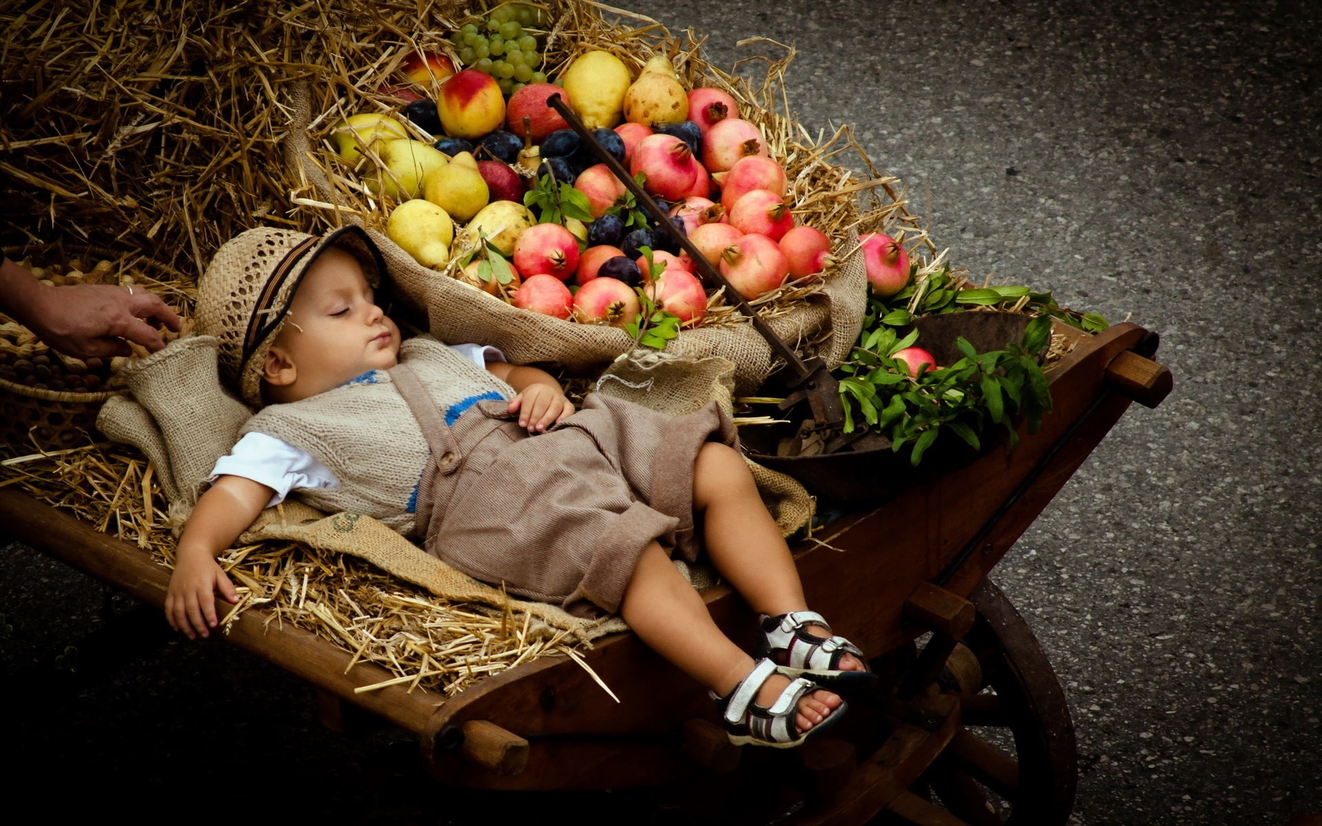 Cute boy sleeping, stroller, fruits, baby's white top, brown wicker hat; brown pants and white sandals]