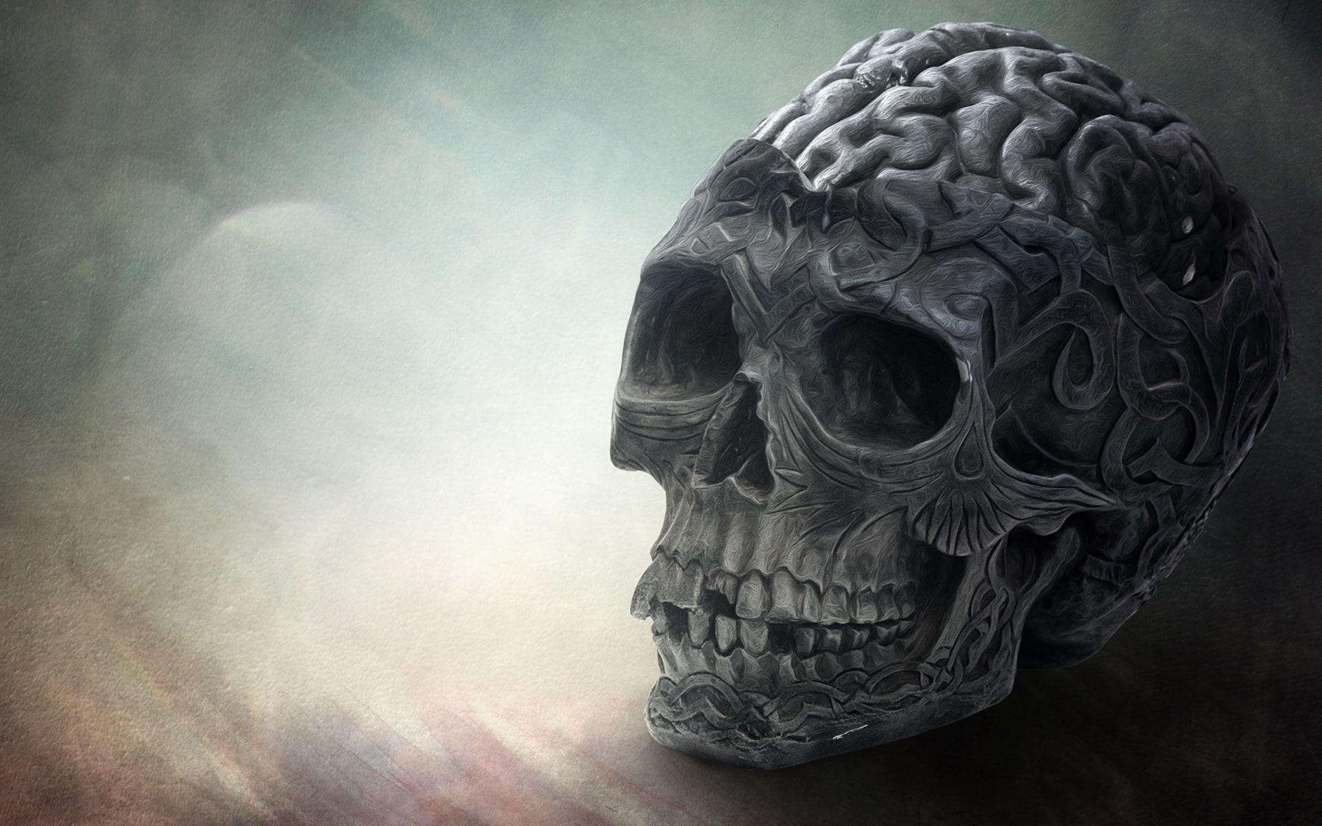 Brain Skull HD, creative, graphics, creative and graphics