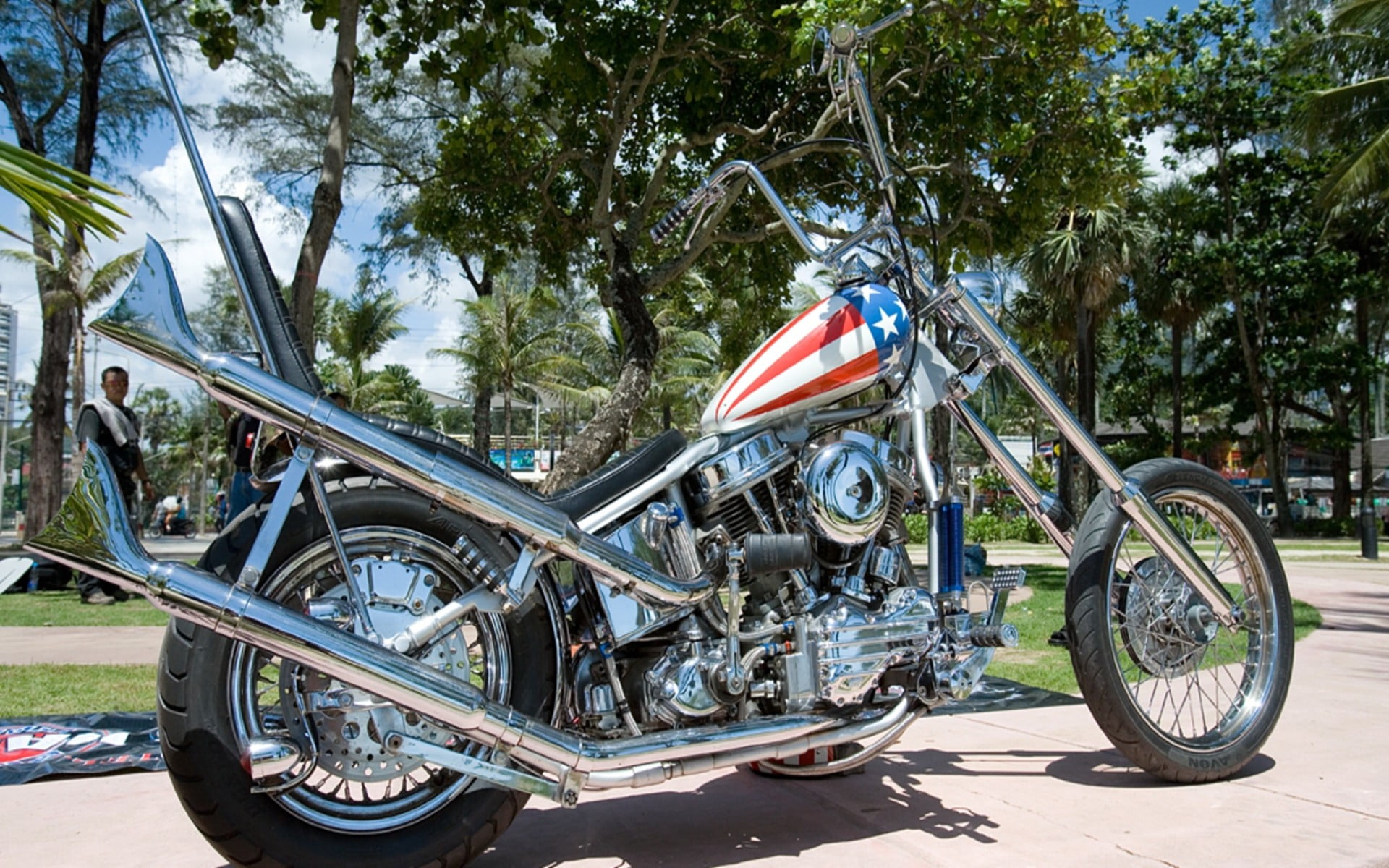 silver chopper motorcycle, Harley Davidson, Easy Rider, tree