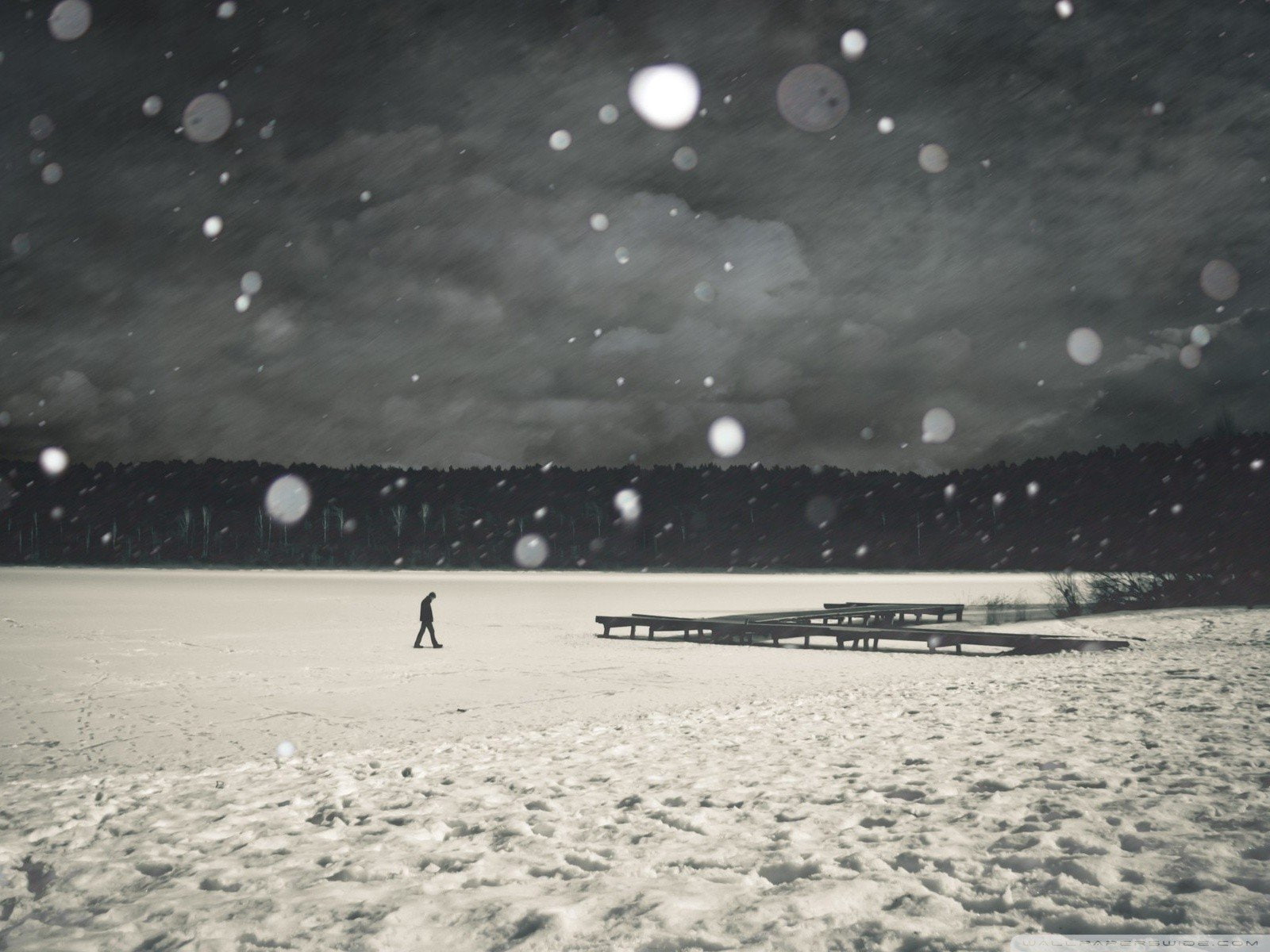 lonely, love, quotes, winter