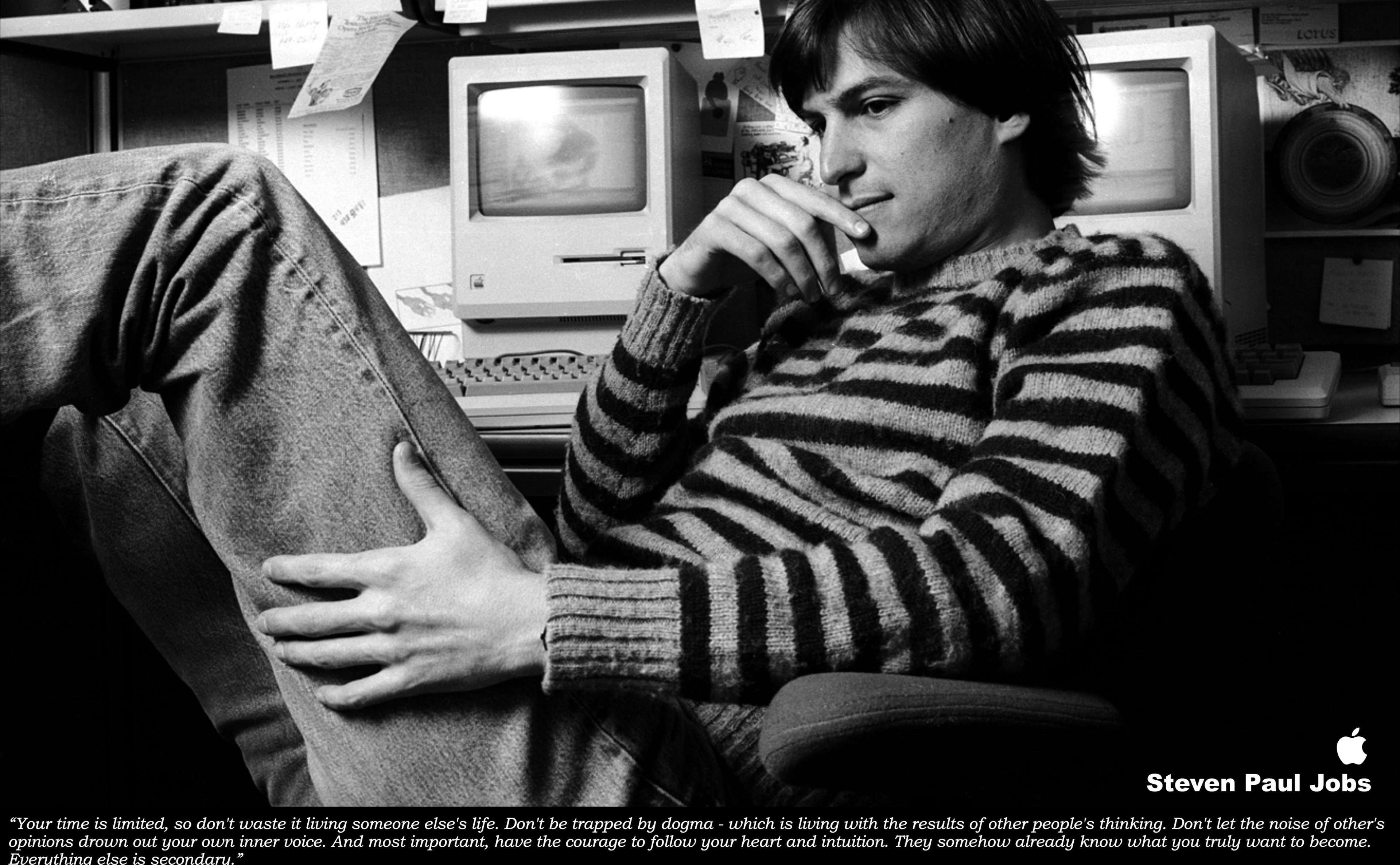 Steve Jobs, men's gray and black striped sweatshirt screenshot