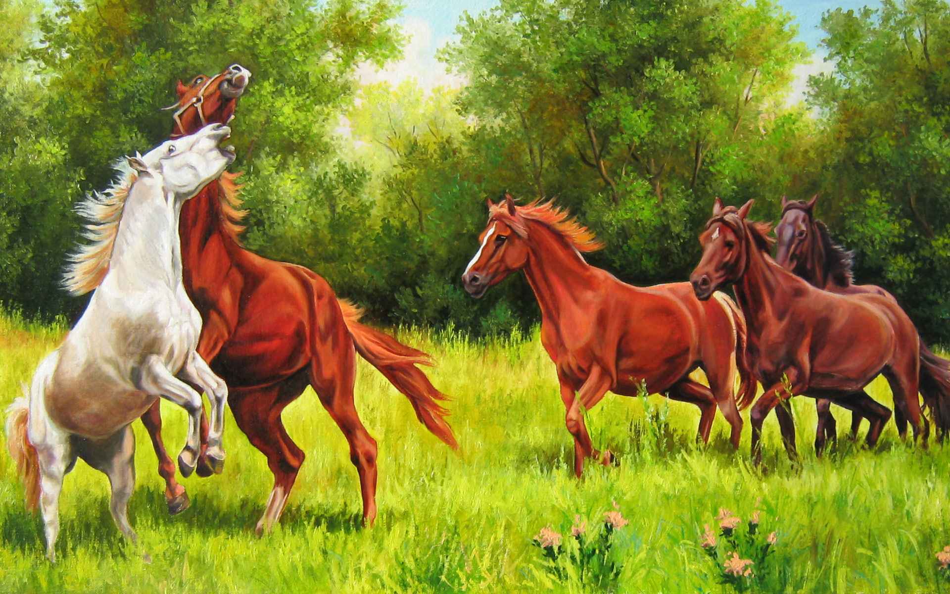 elena, horses, playful, samara