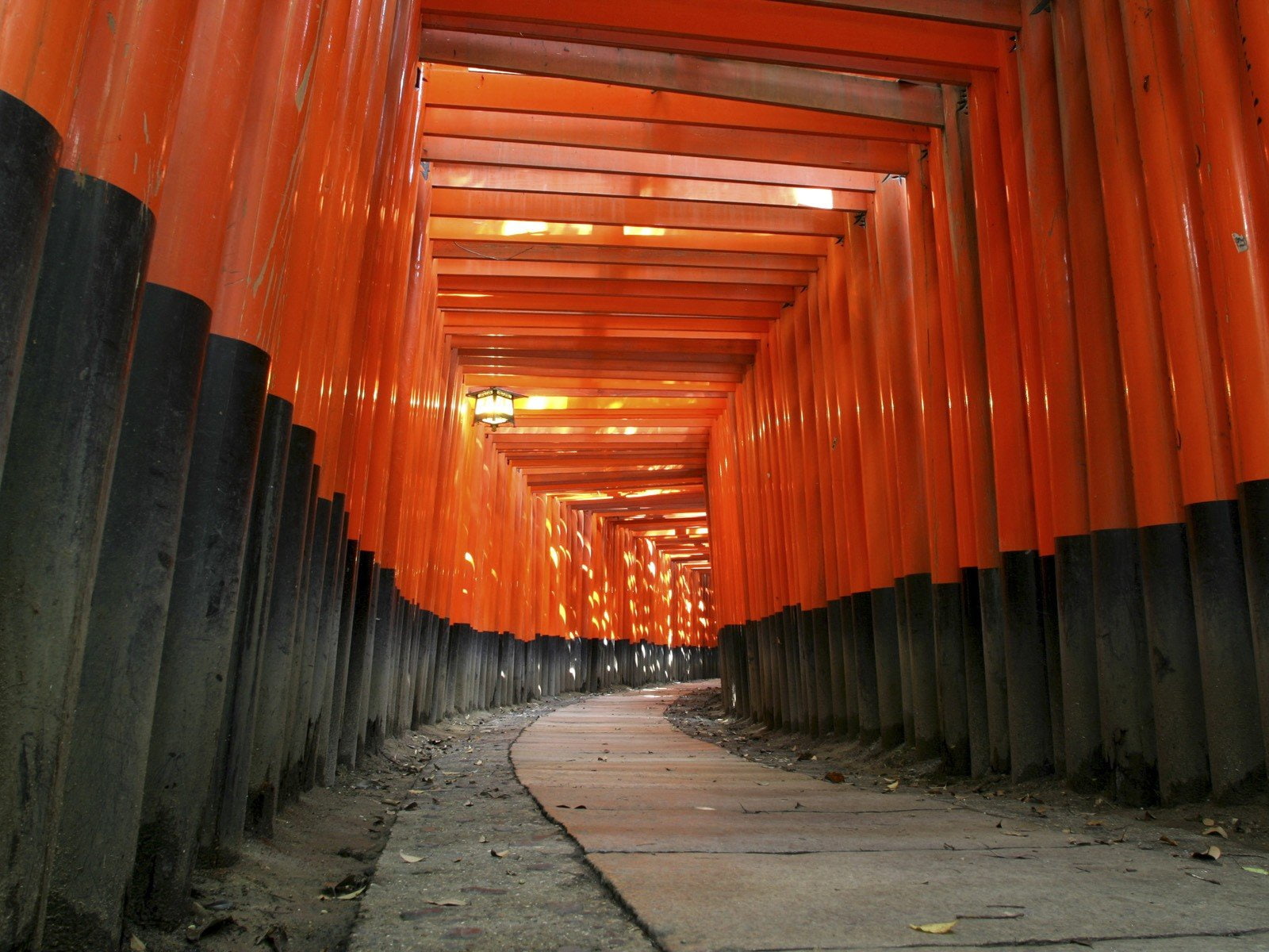 architecture, fushimi, inari, japan, paths, shrine