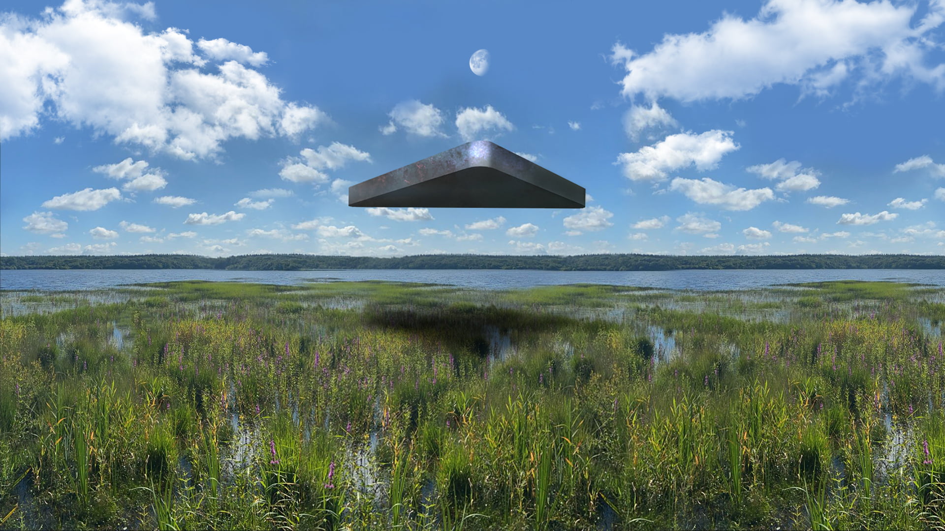 flying saucers, swamp, alien abduction