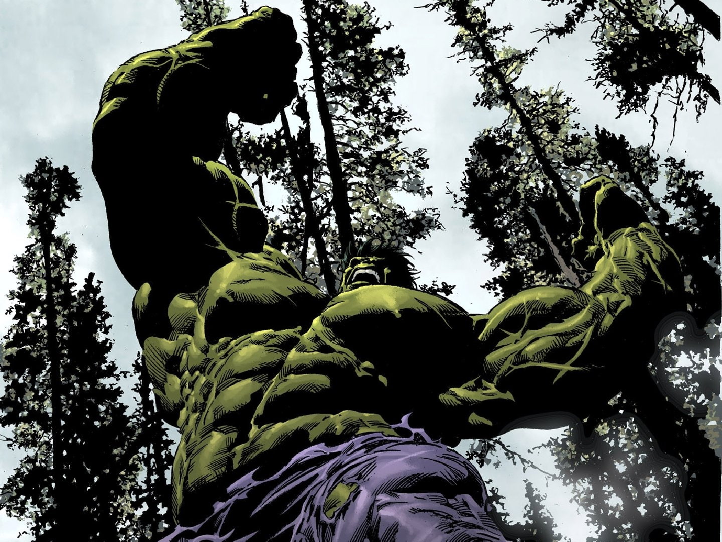 Comics, Marvel Comics, Hulk