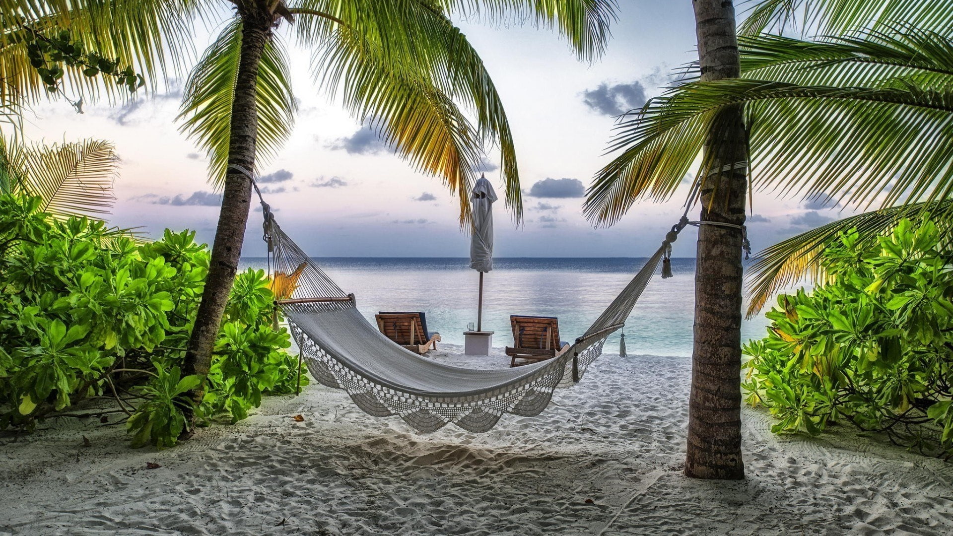 relax, hammock, palm tree, tropics, sand, resort, vacation