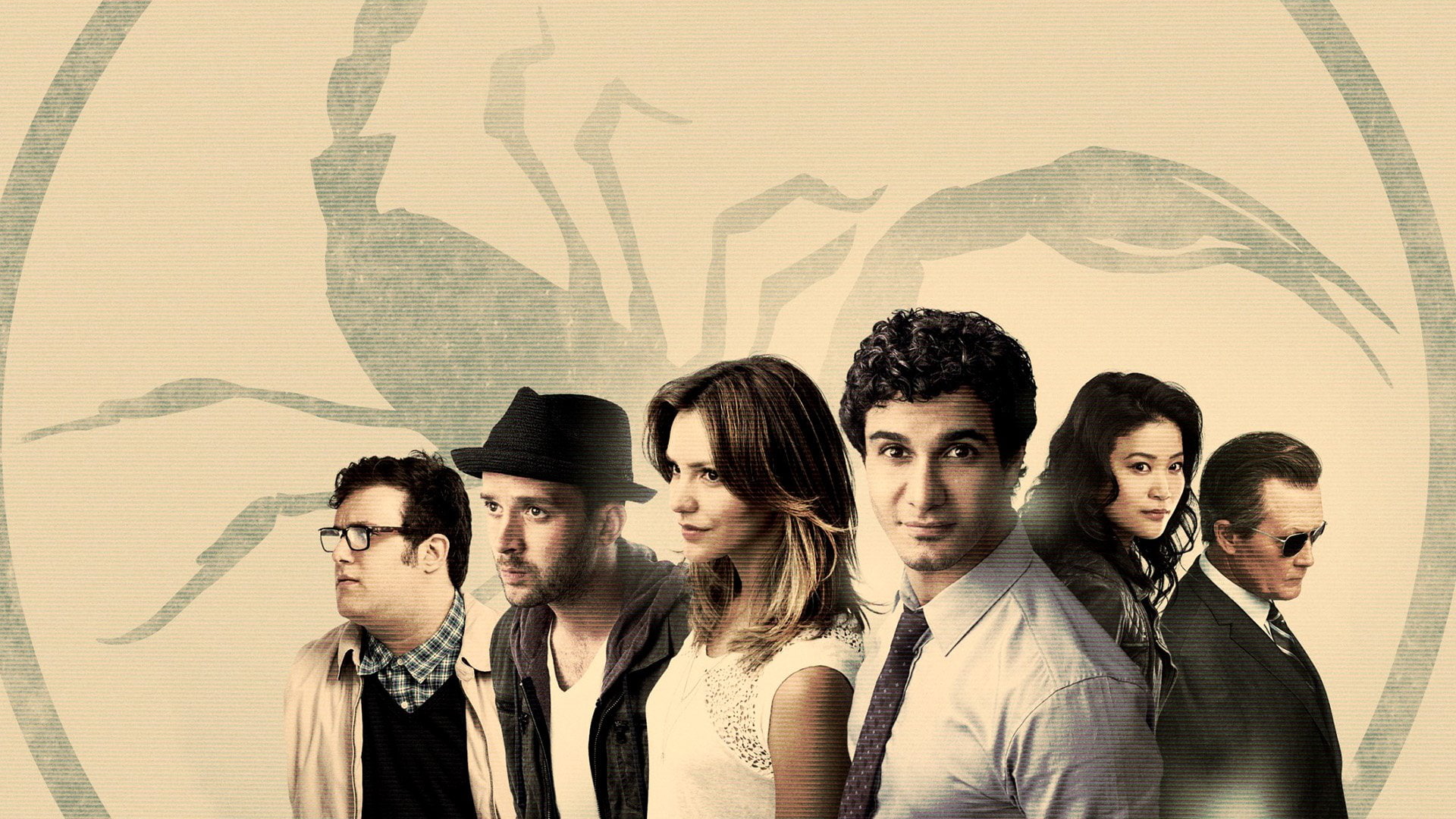 TV Show, Scorpion, Cast, Scorpion (TV Show)