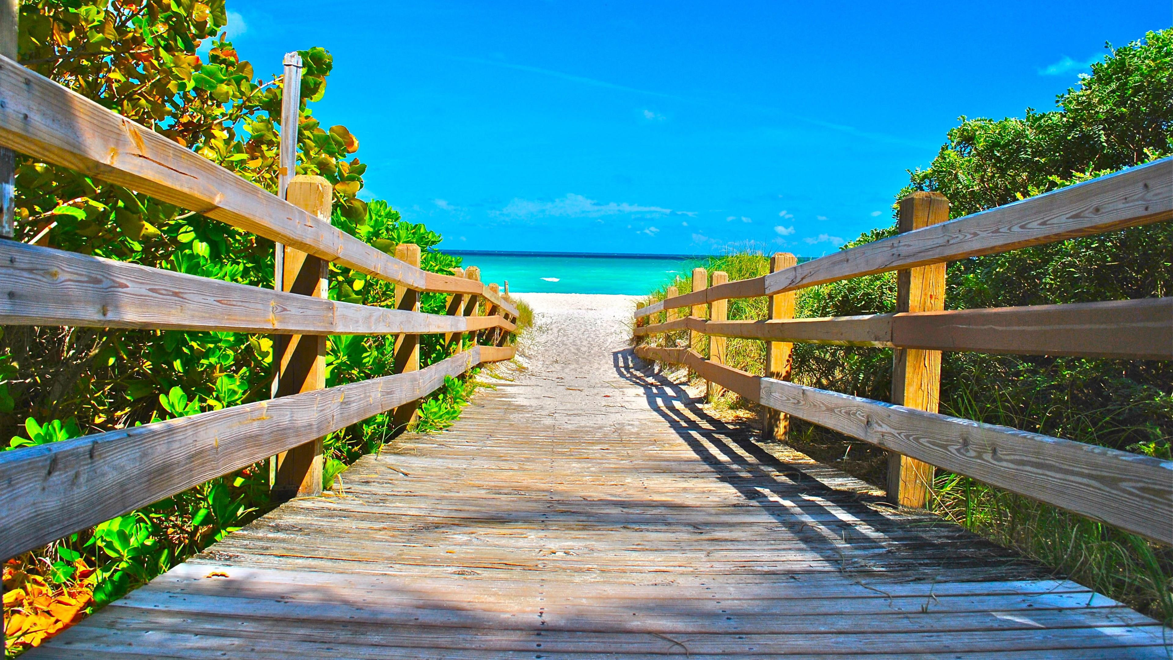 miami, walkway, beach, sky, boardwalk, tree, plant, usa, leisure