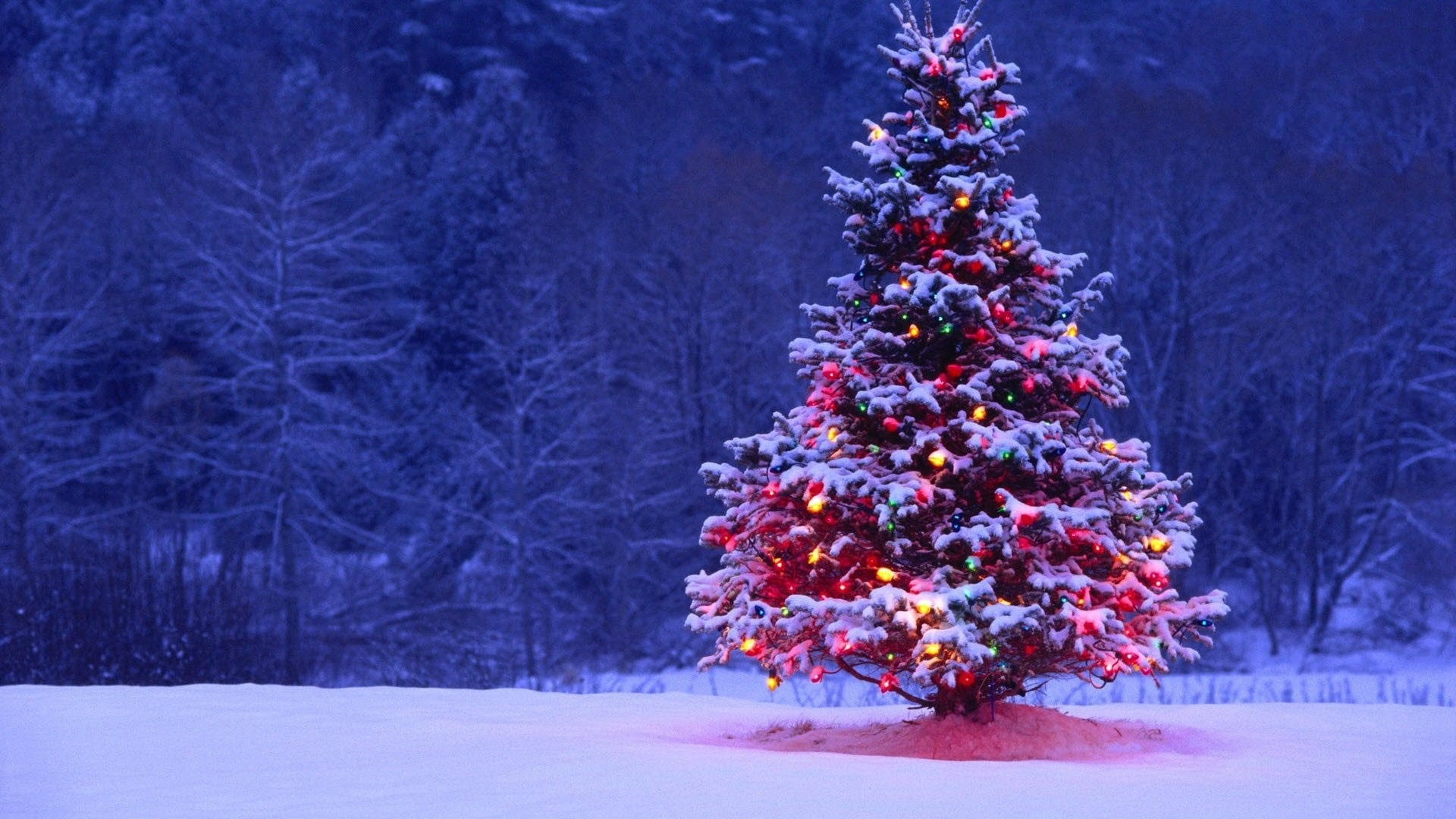 Christmas, snow, winter, holiday, christmas lights