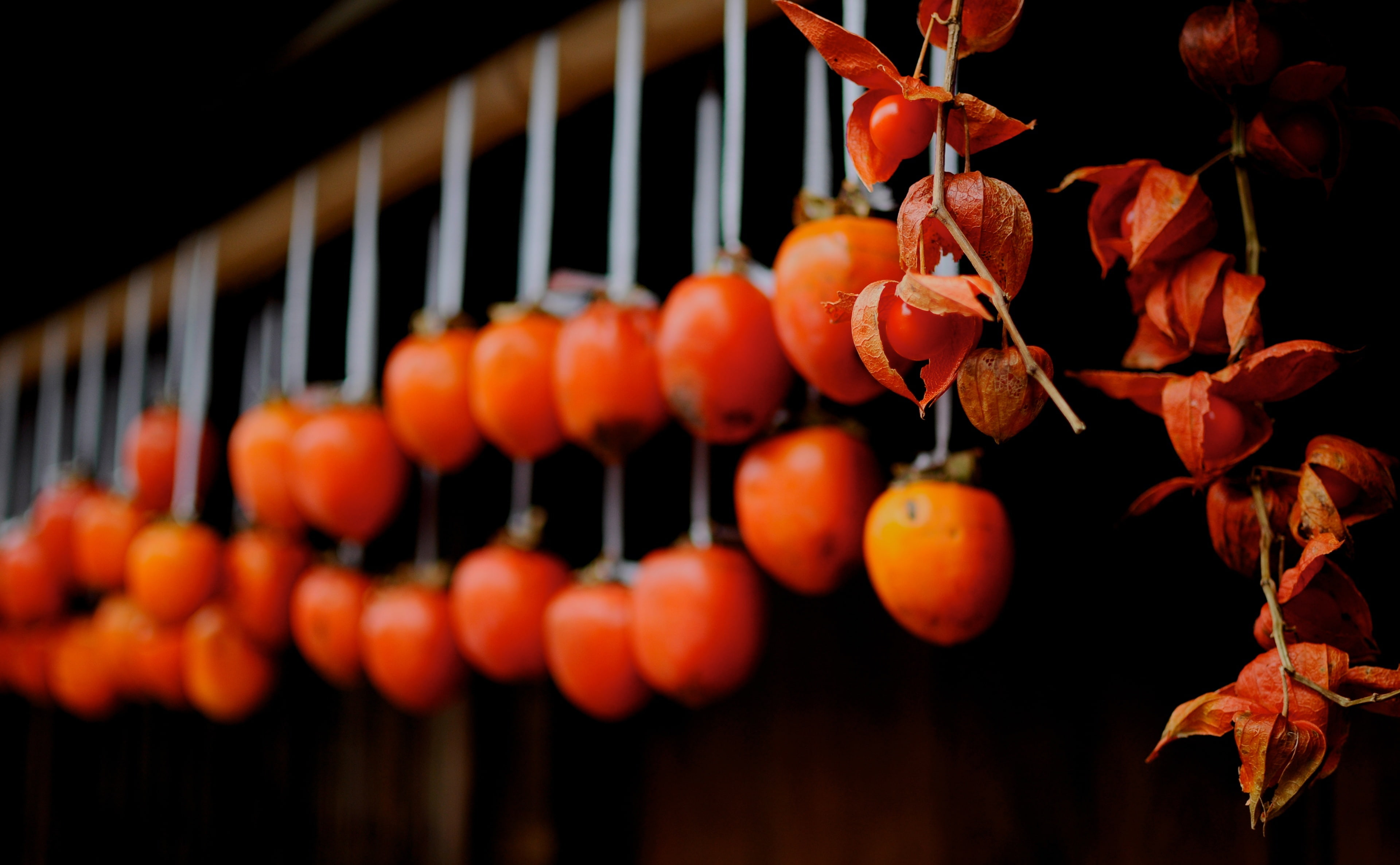 Drying Persimmons (Tsumago), red fruits, Asia, Japan, food and drink