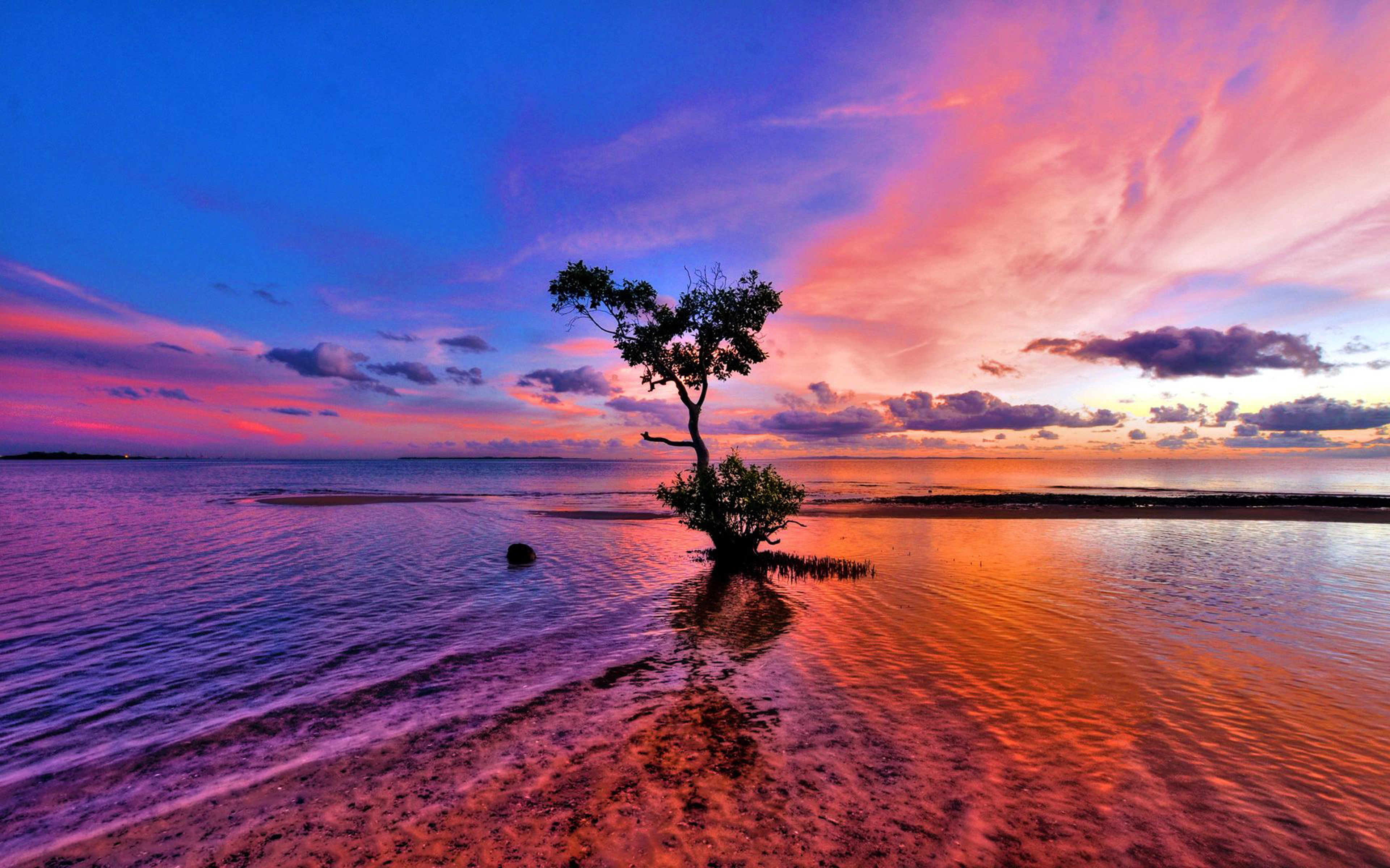 Sea Ocean Red Sunset Tree Beautiful Horizon Blue Clouds Reflection Wallpaper Hd 3840×2400