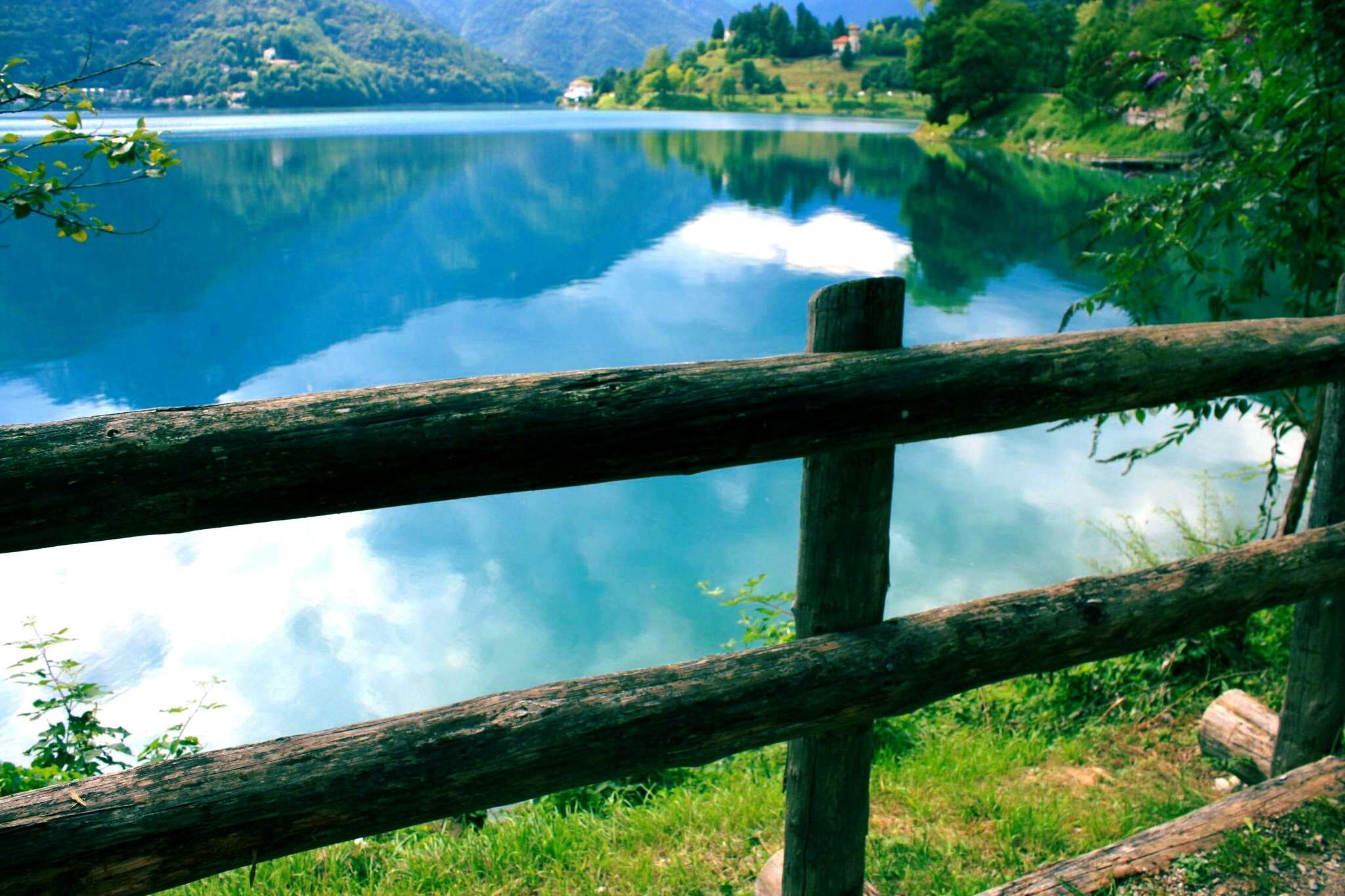 daylight, environment, fall, forest, grass, green, lake, landscape