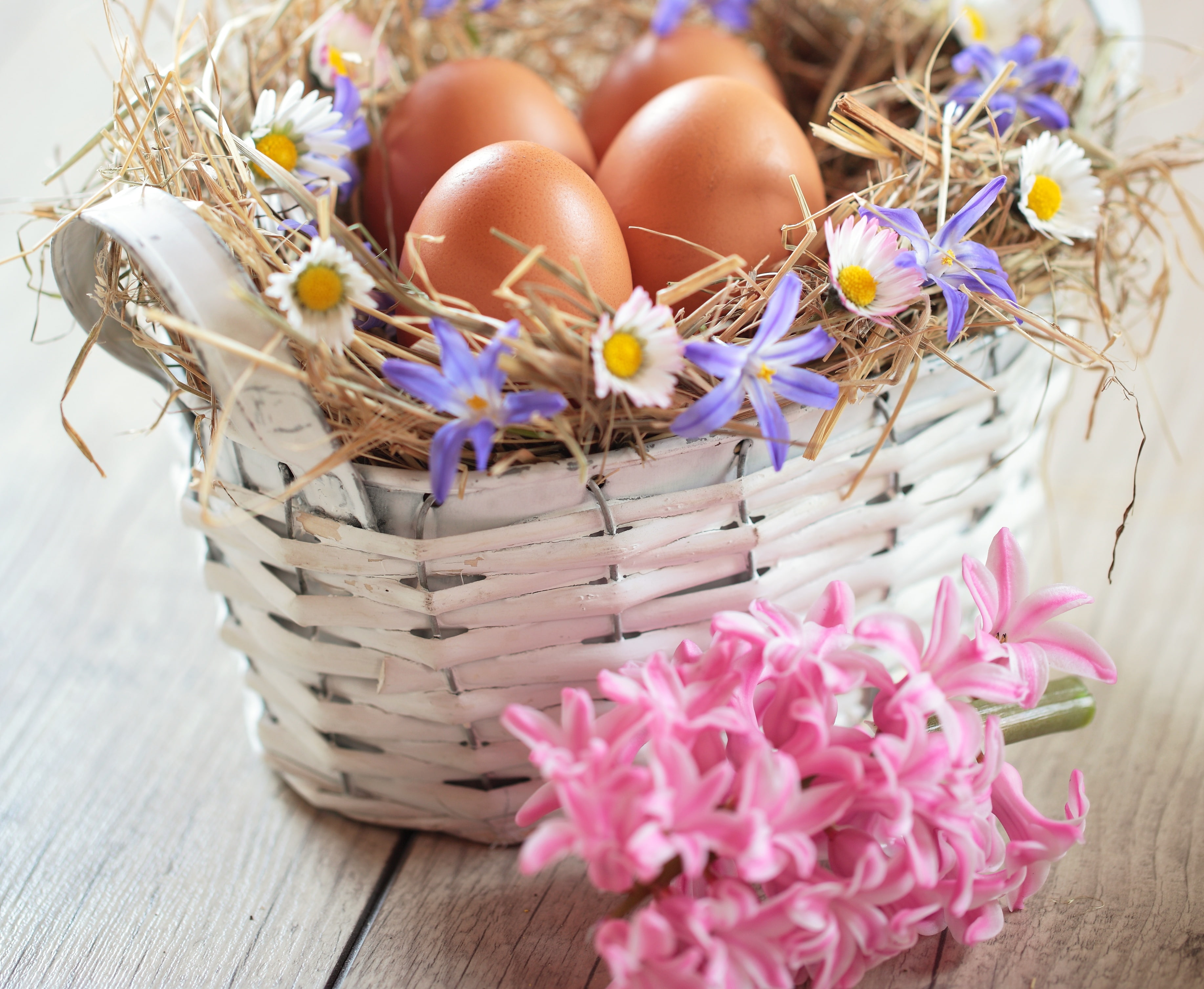 eggs, Easter, Easter eggs