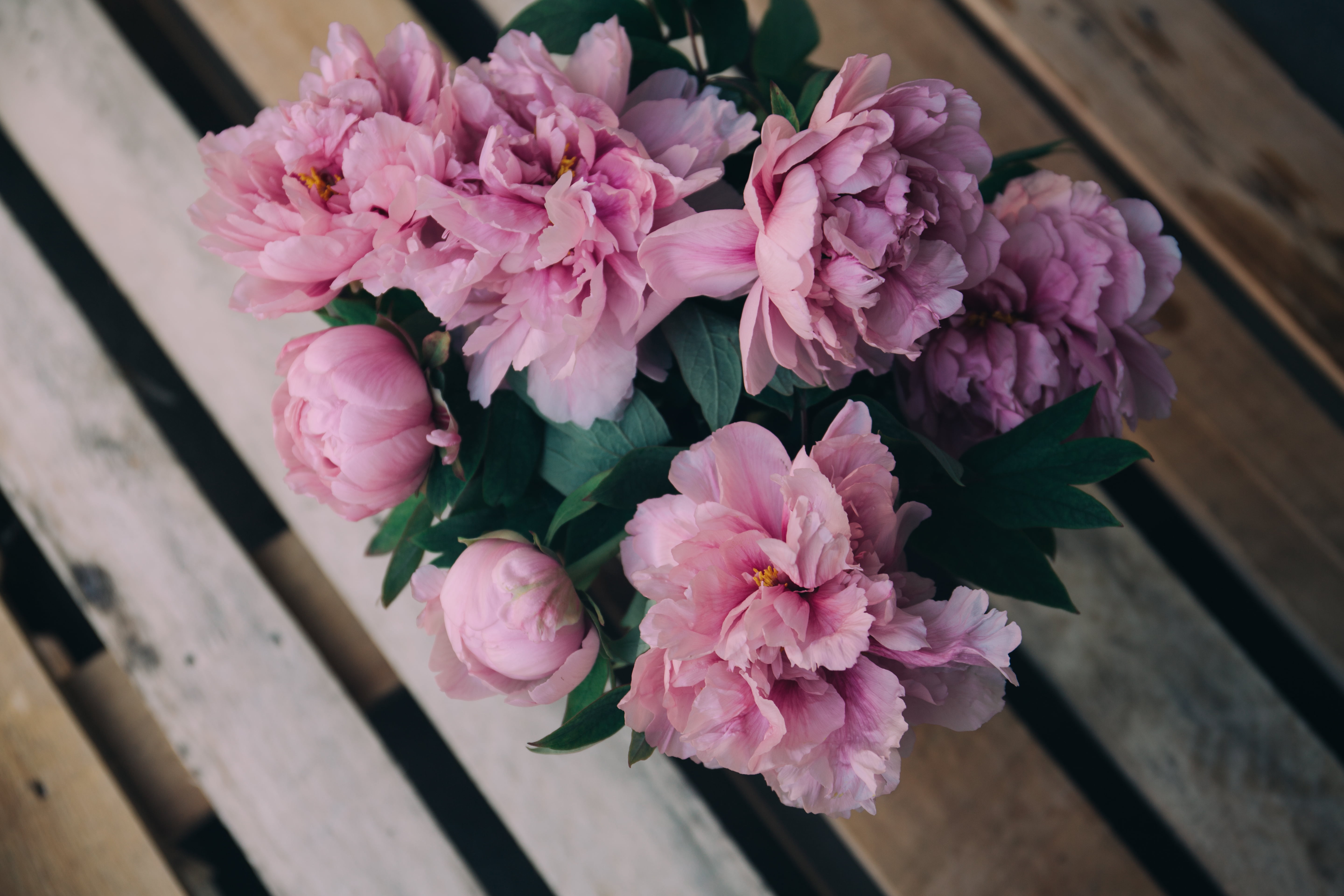 pink peony flower arrangement, peonies, flowers, bouquet, pink Color