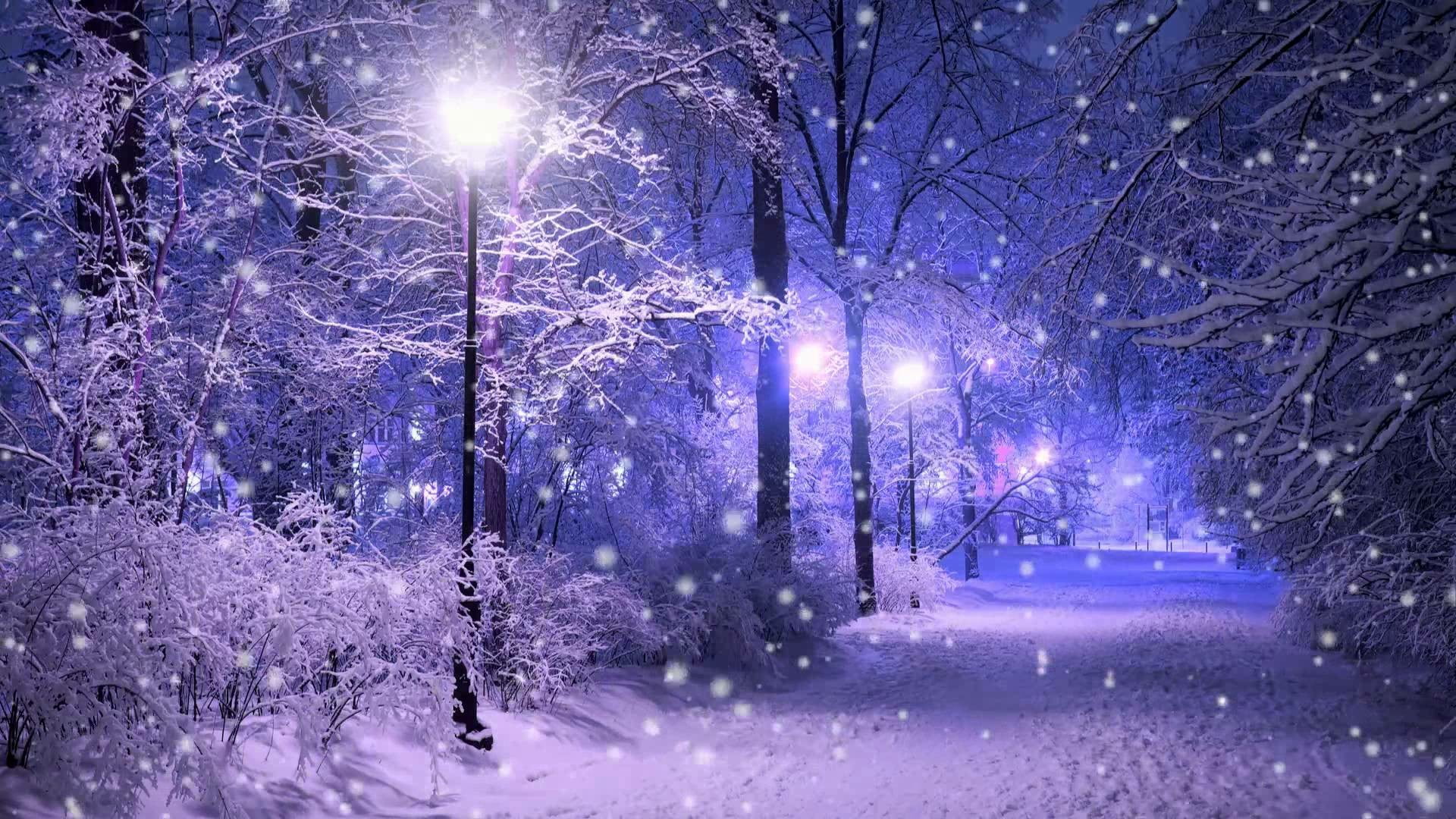 street light, snow, snowing, winter, park, nature, freezing