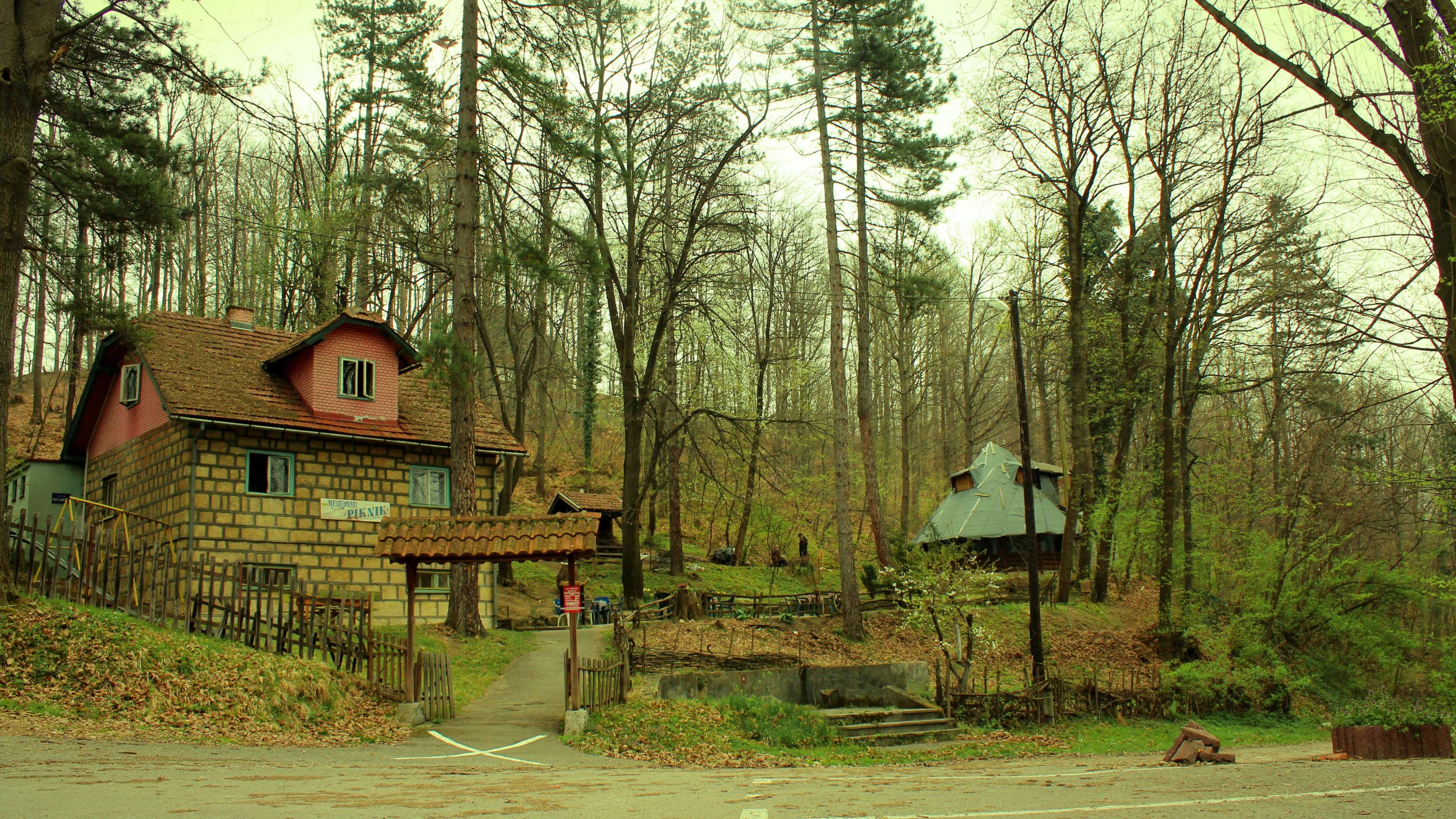 bosnia, forest, nature, nature park, picnic, tuzla, tree, plant